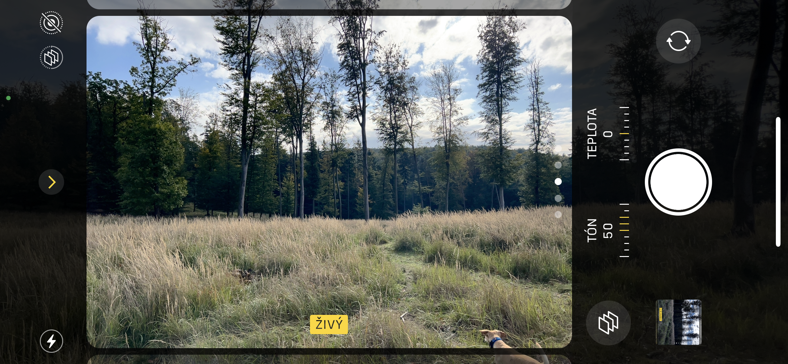 forest view camera vivid filter