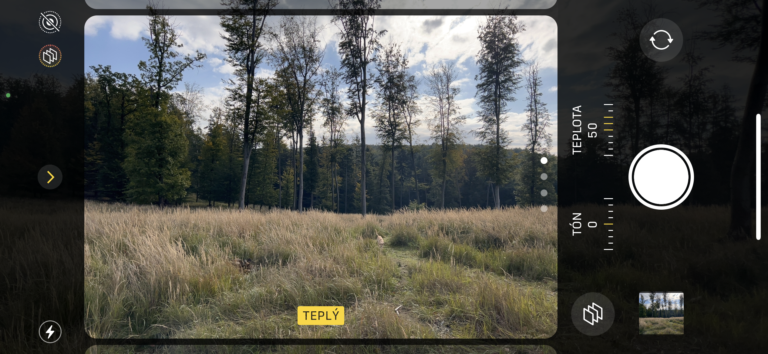 forest view camera warm filter