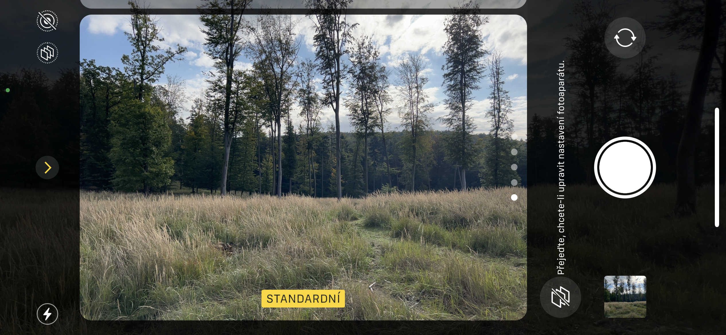 forest view through camera