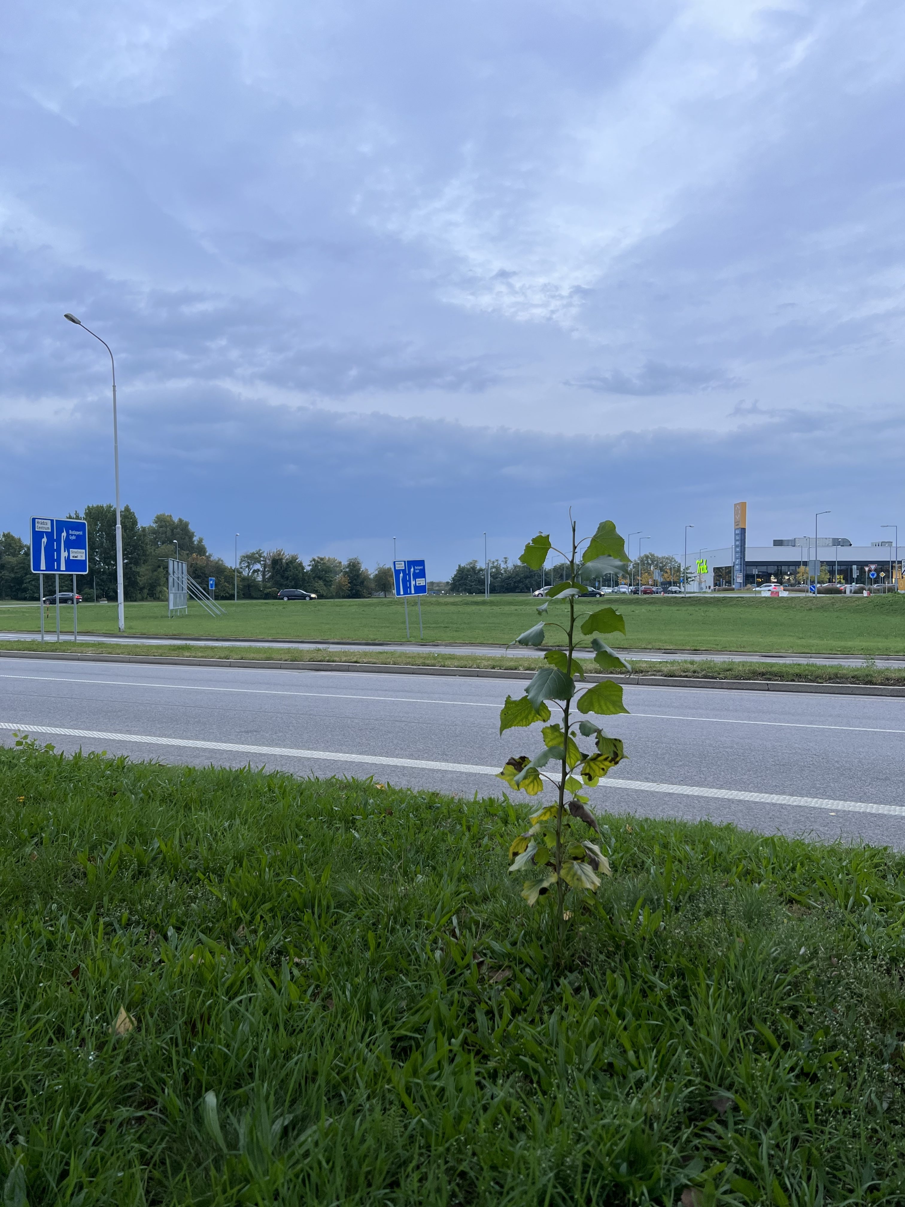 iphone 13 test photo