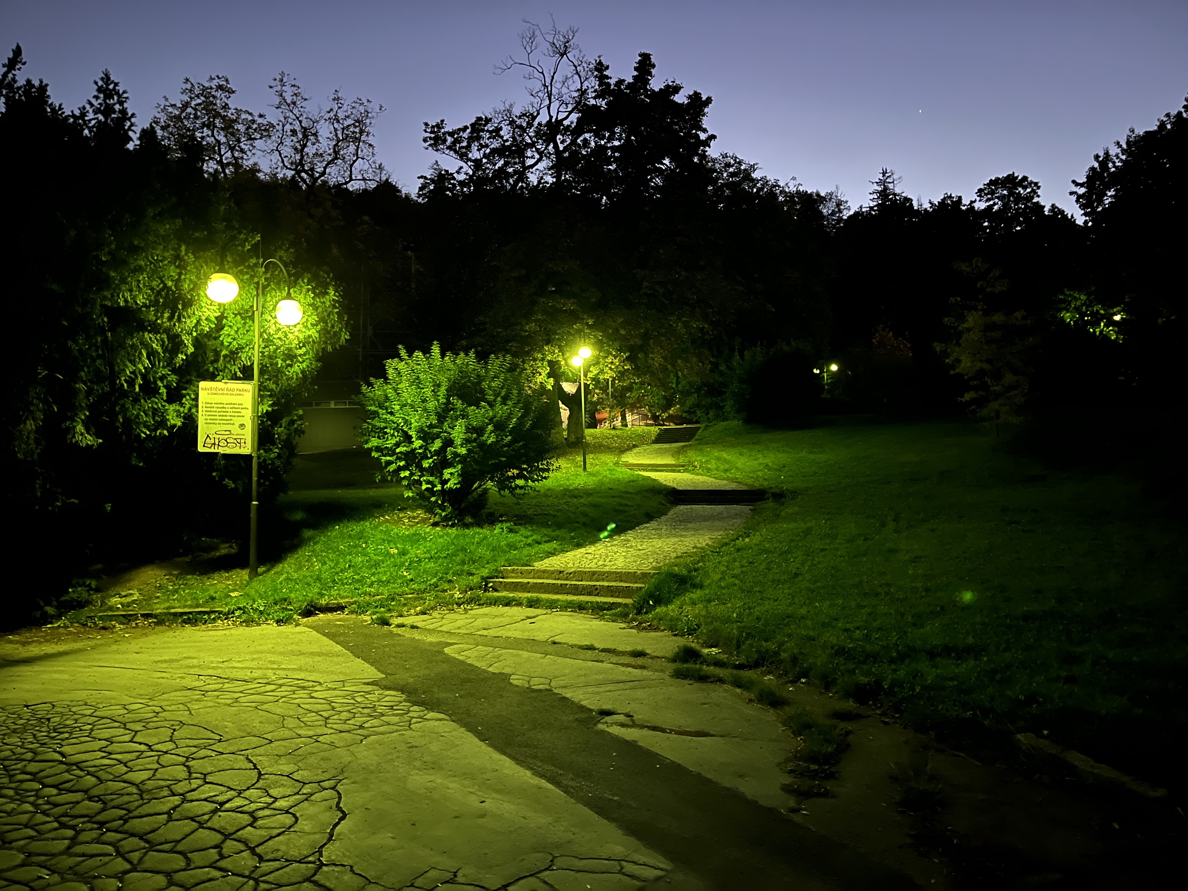 park pathway night lights