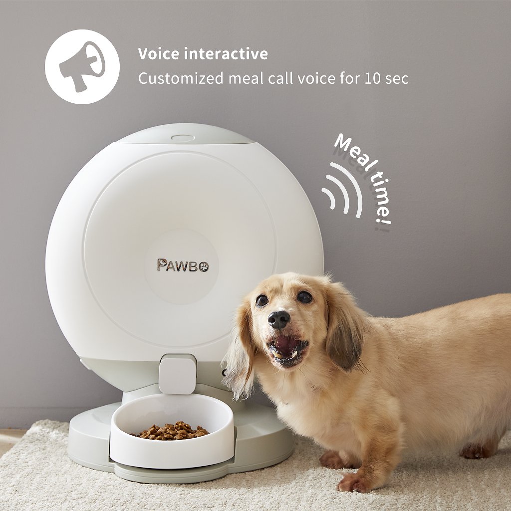 pet feeder with voice interaction