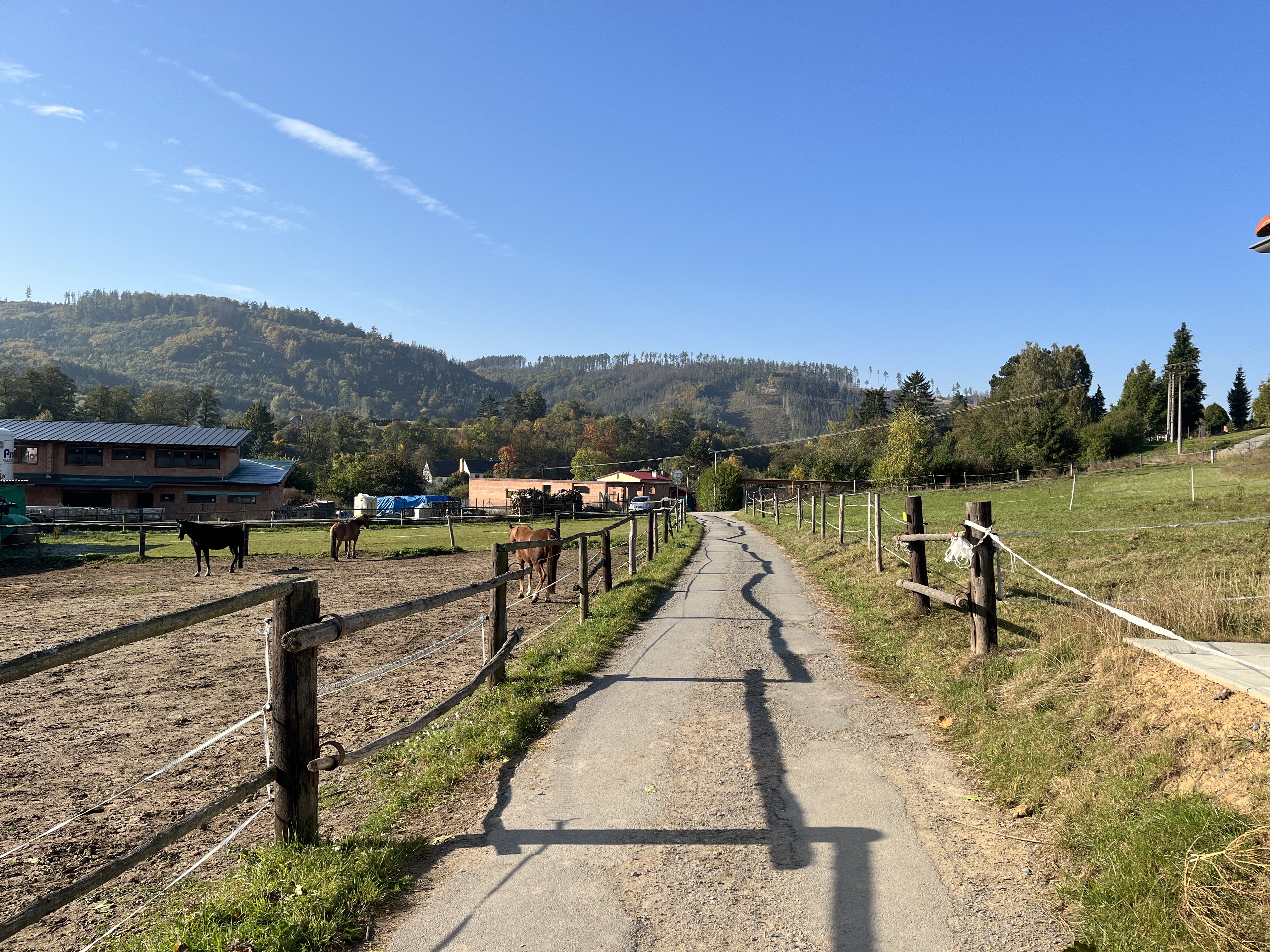 rural road with fence