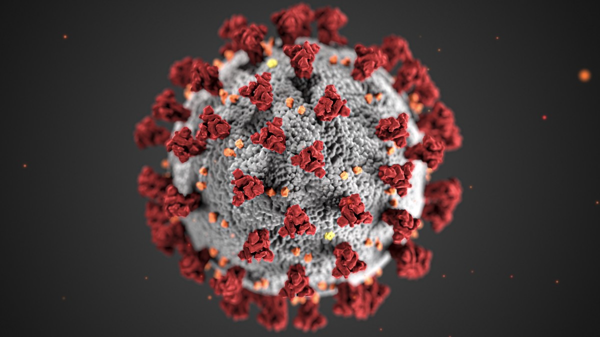 virus