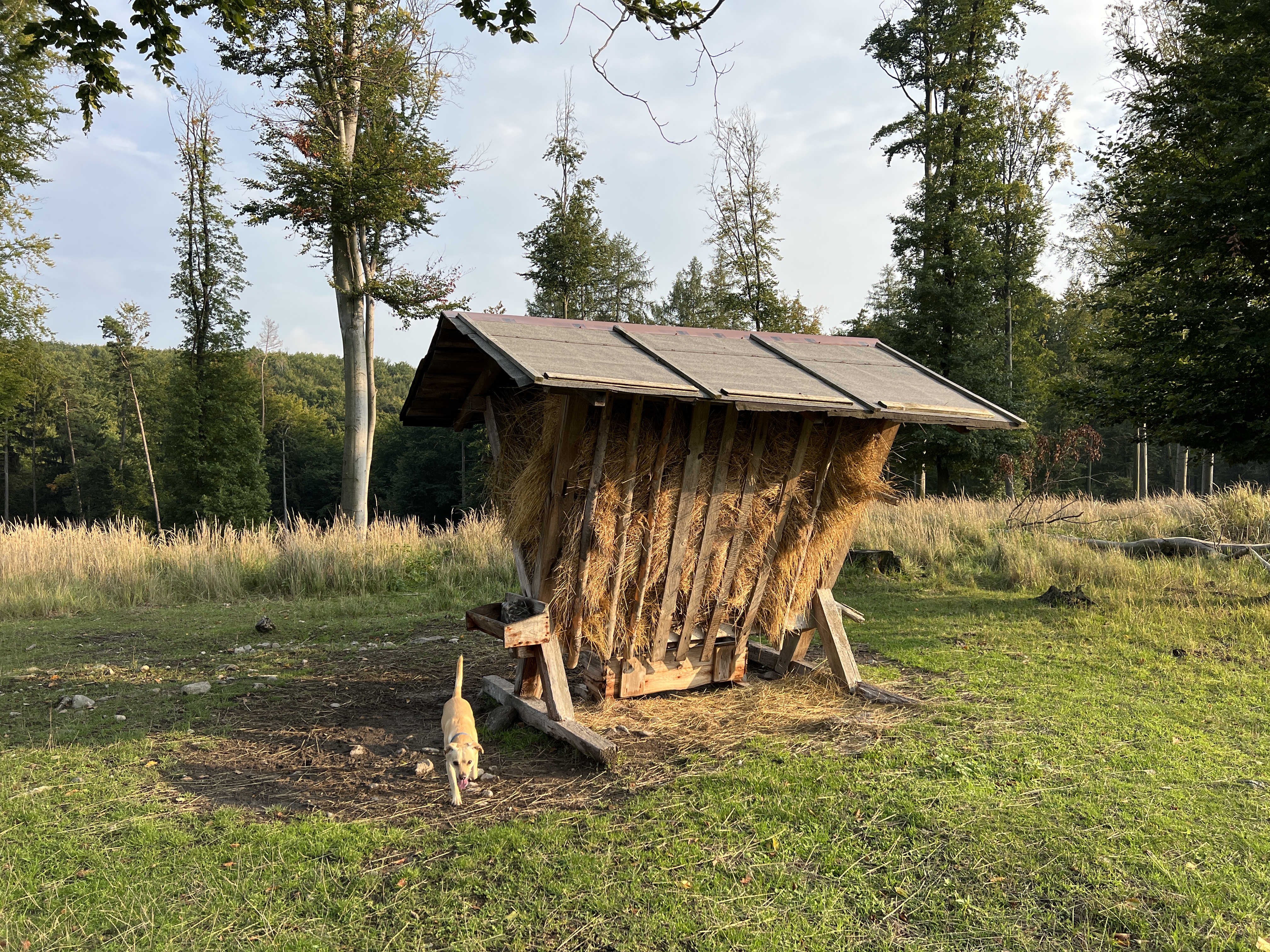 wooden shelter in field