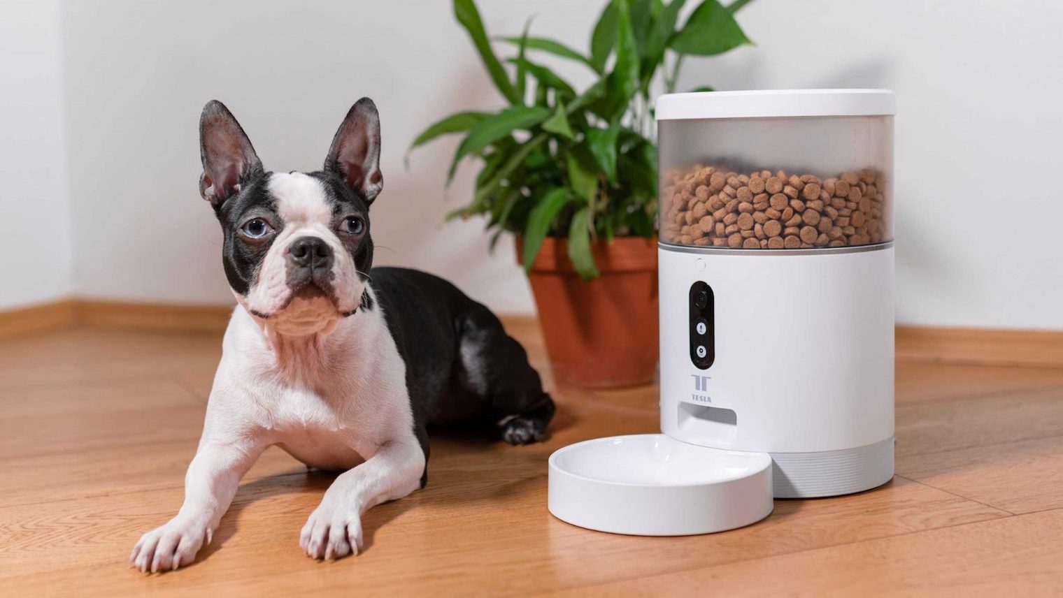 Tesla Smart Pet Feeder Camera