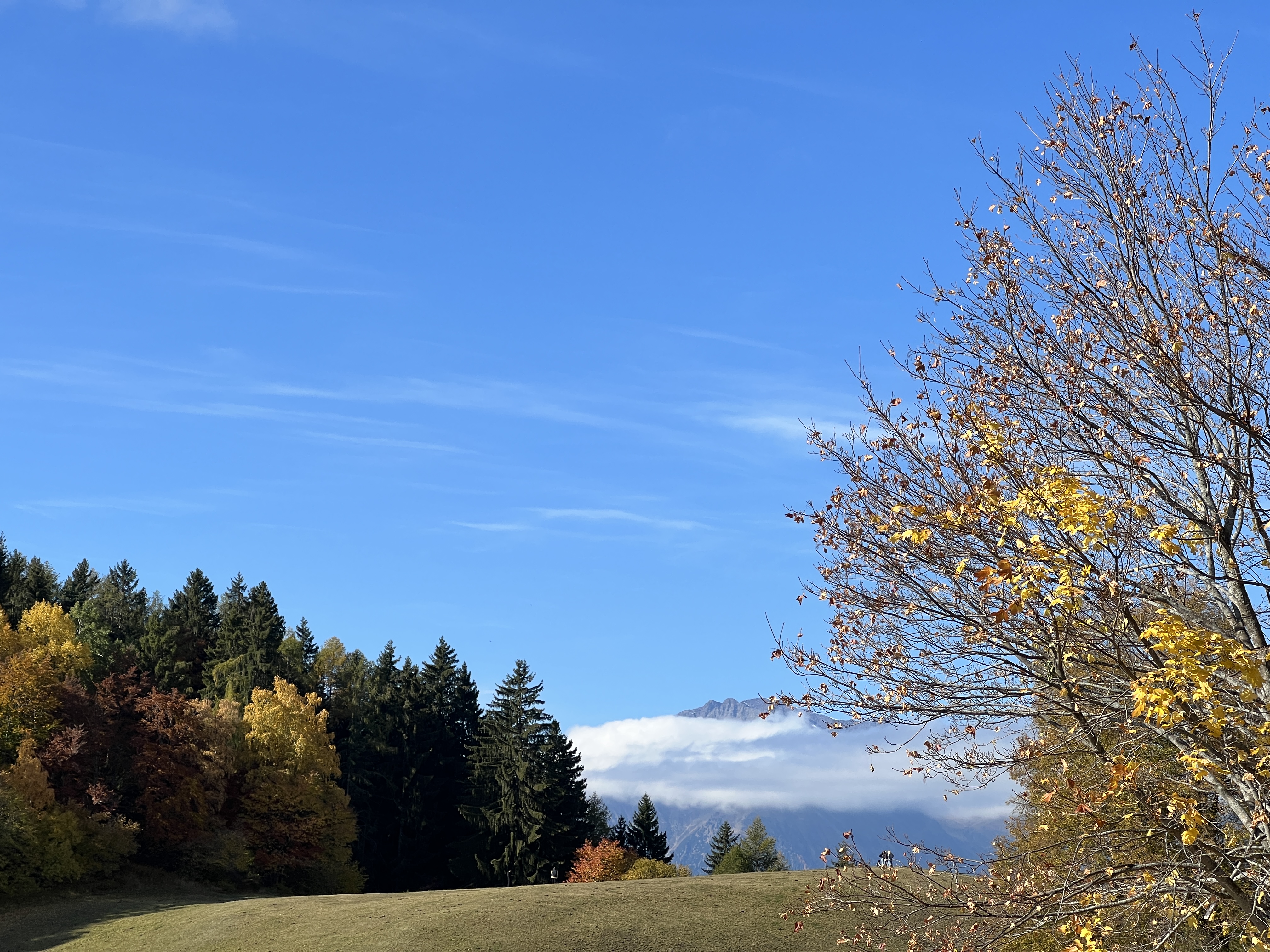 autumn landscape with mountains