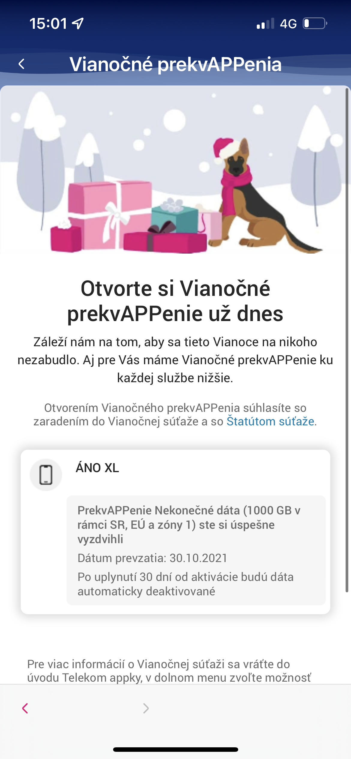 holiday promotion details