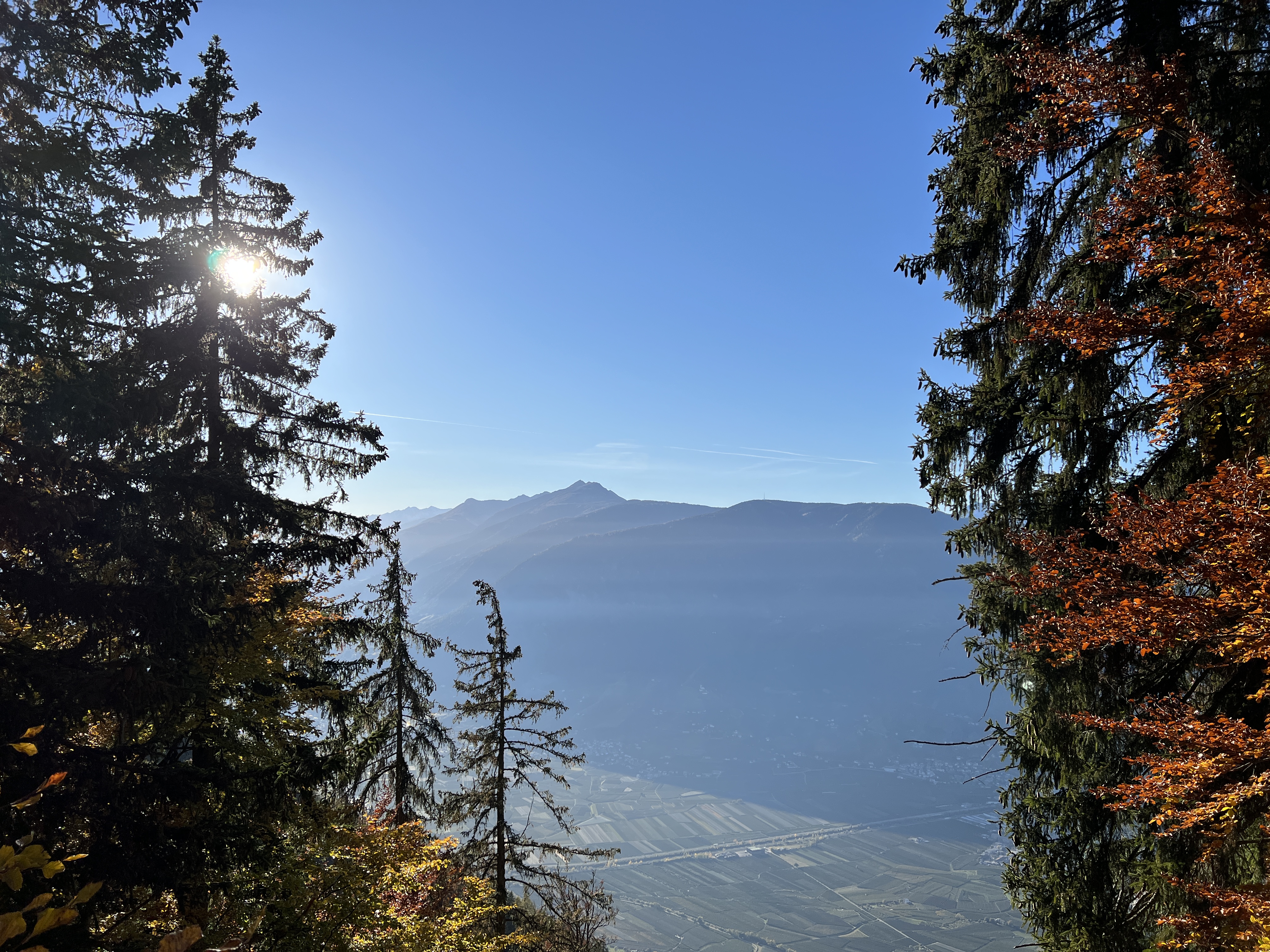 mountain view sunlight trees