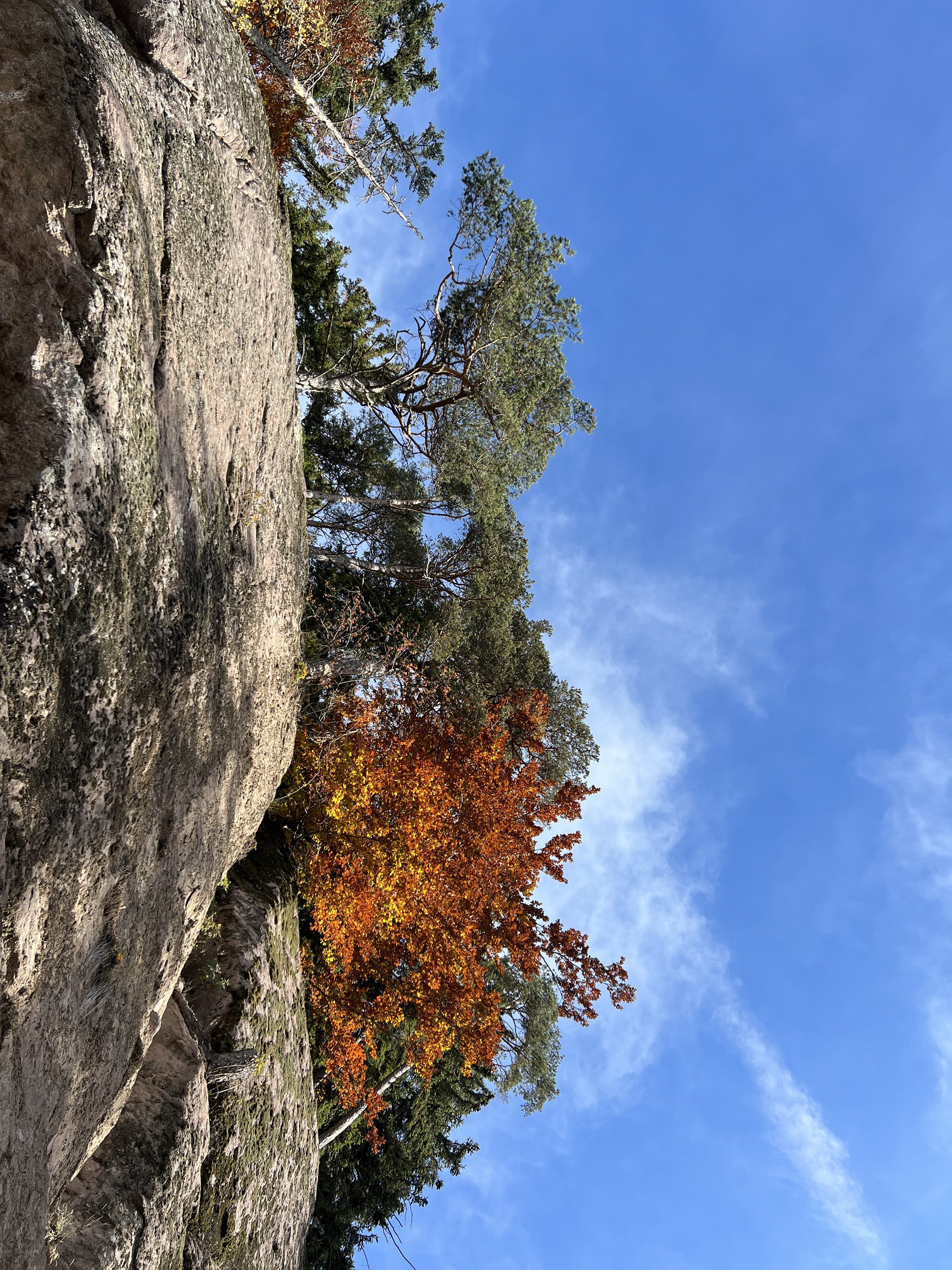 rocky cliff autumn trees