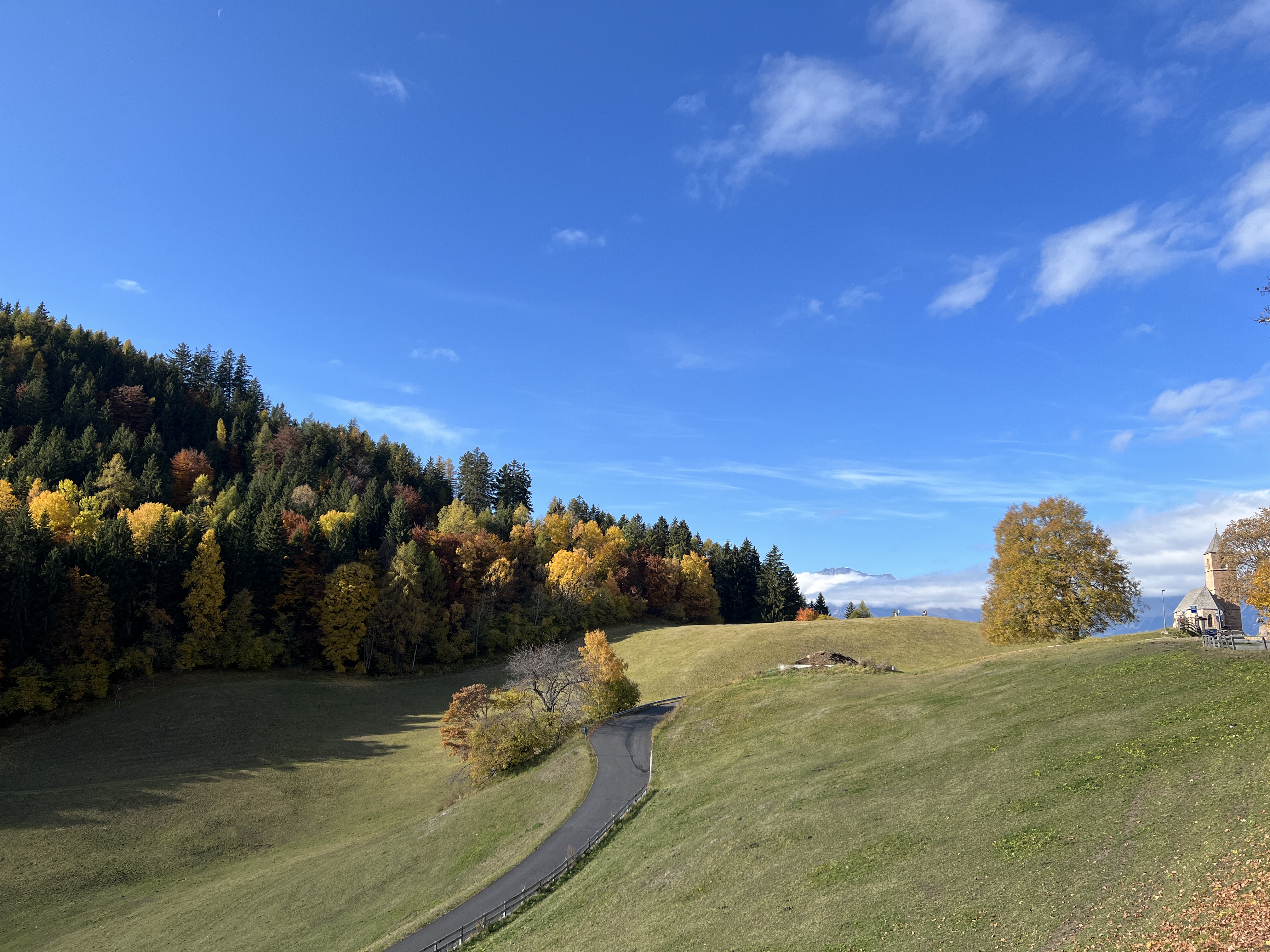 rolling hills and forest