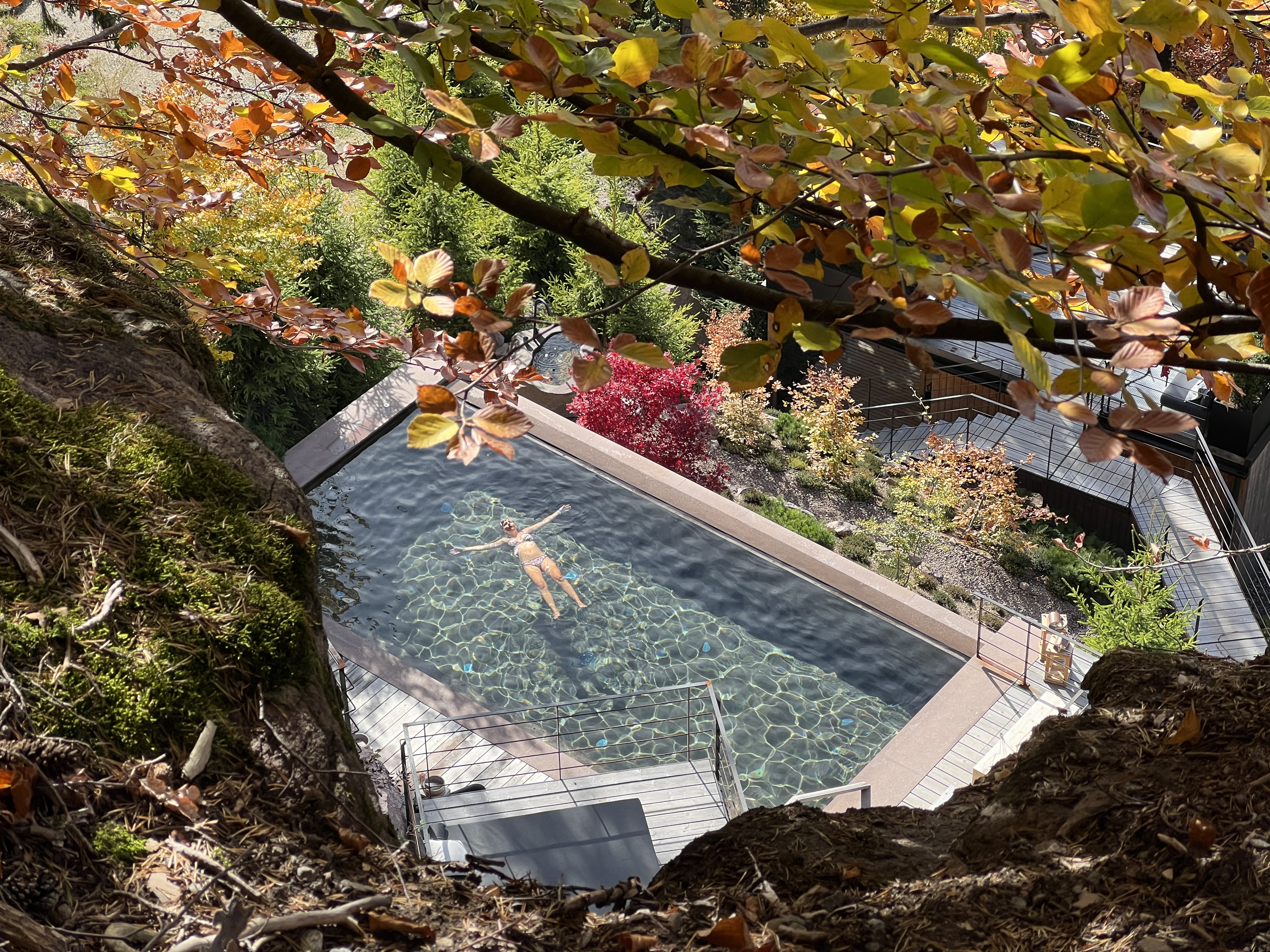 swimming pool autumn trees