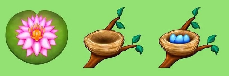 flower and nests on branch