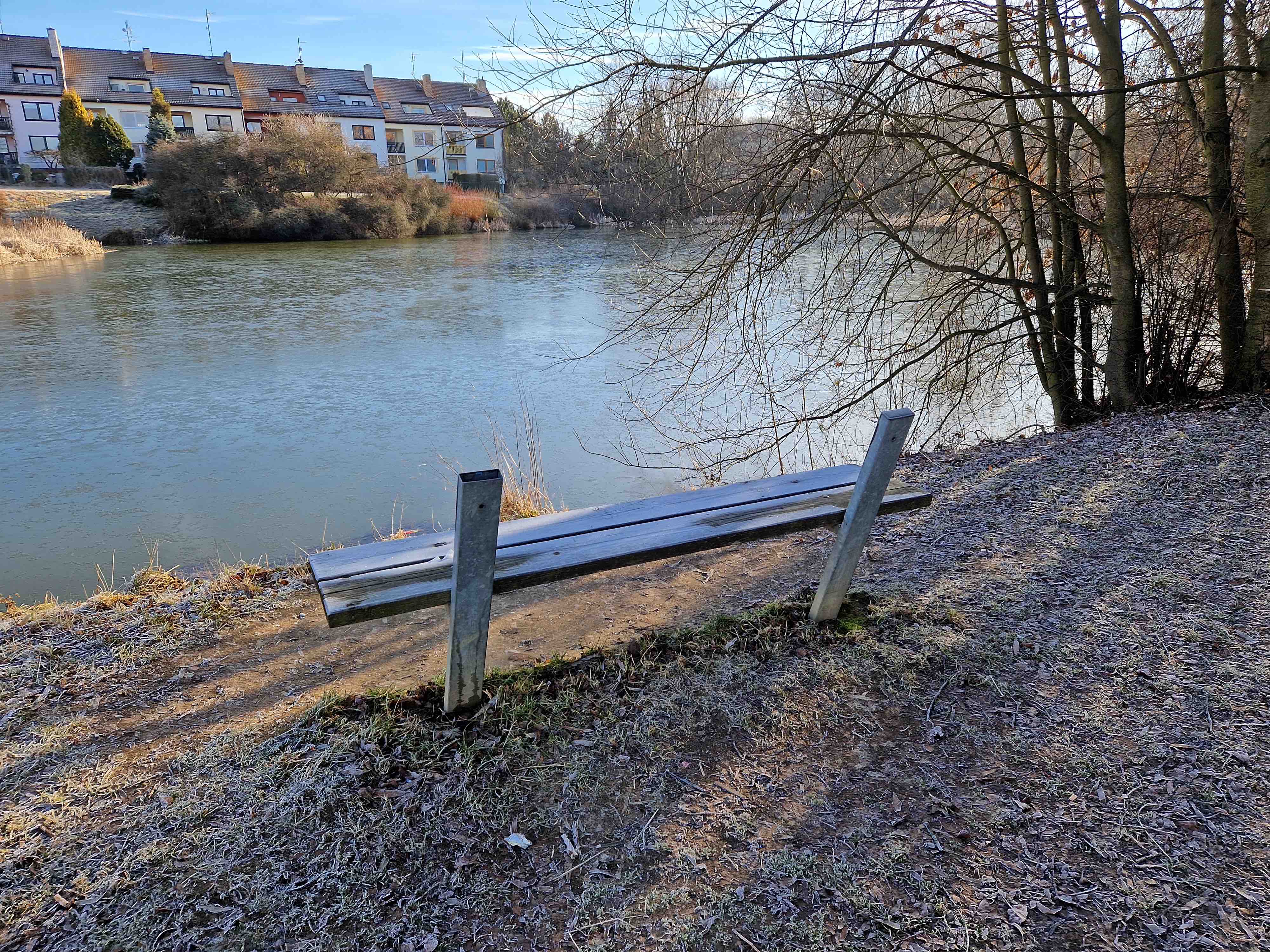 bench riverside trees