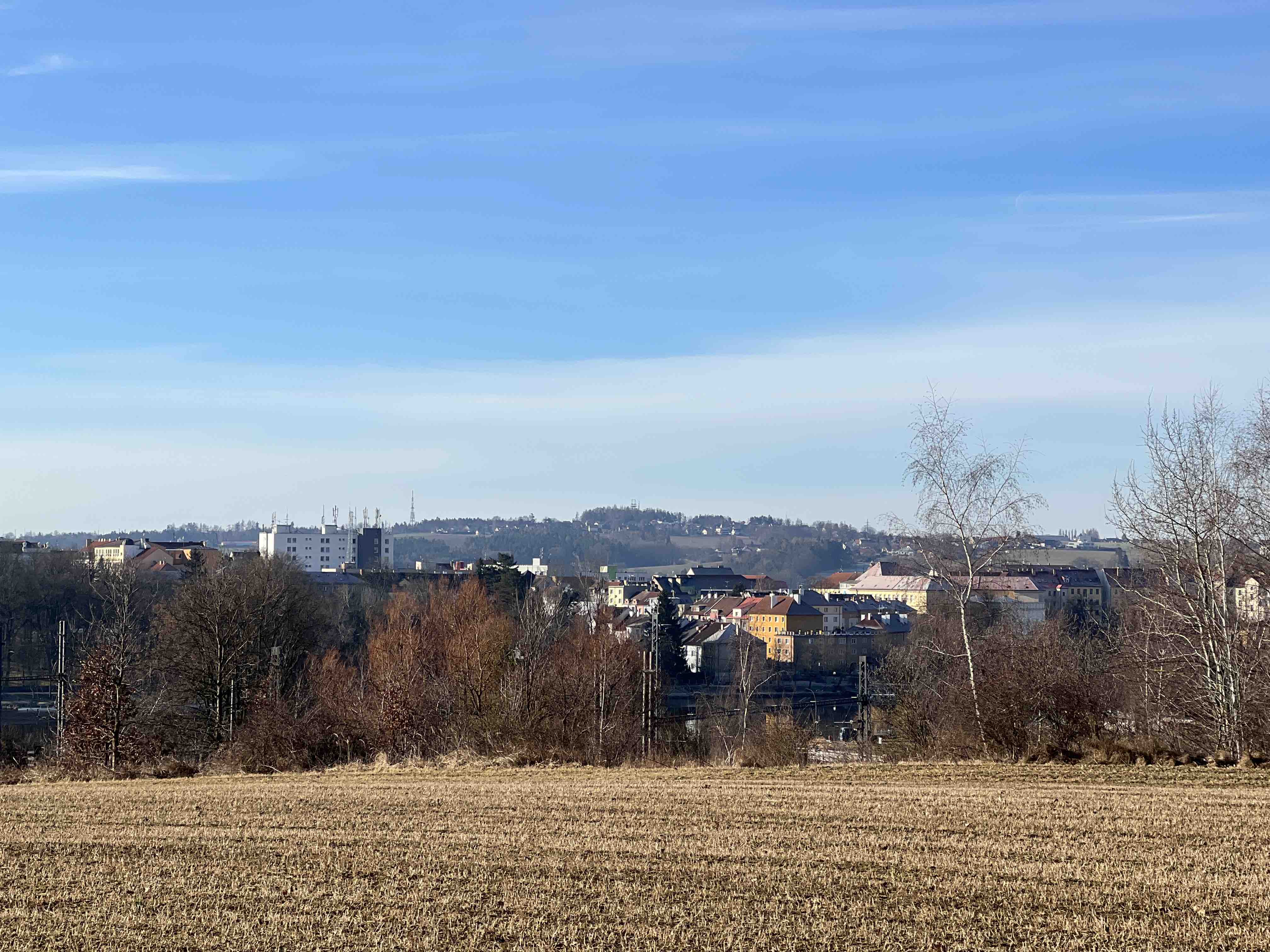 cityscape with fields and trees
