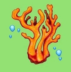 coral emoji