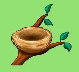 empty bird nest