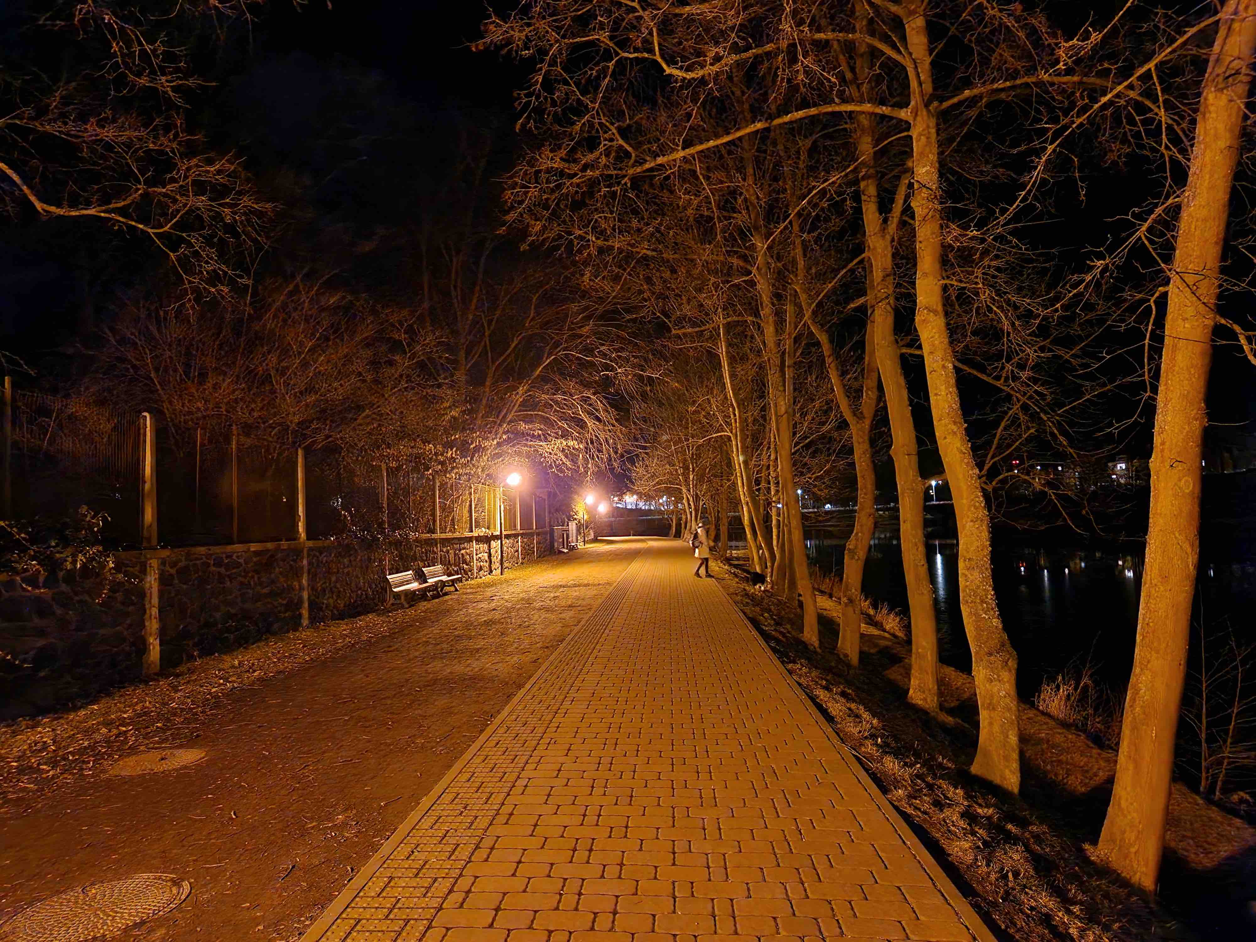 night park pathway