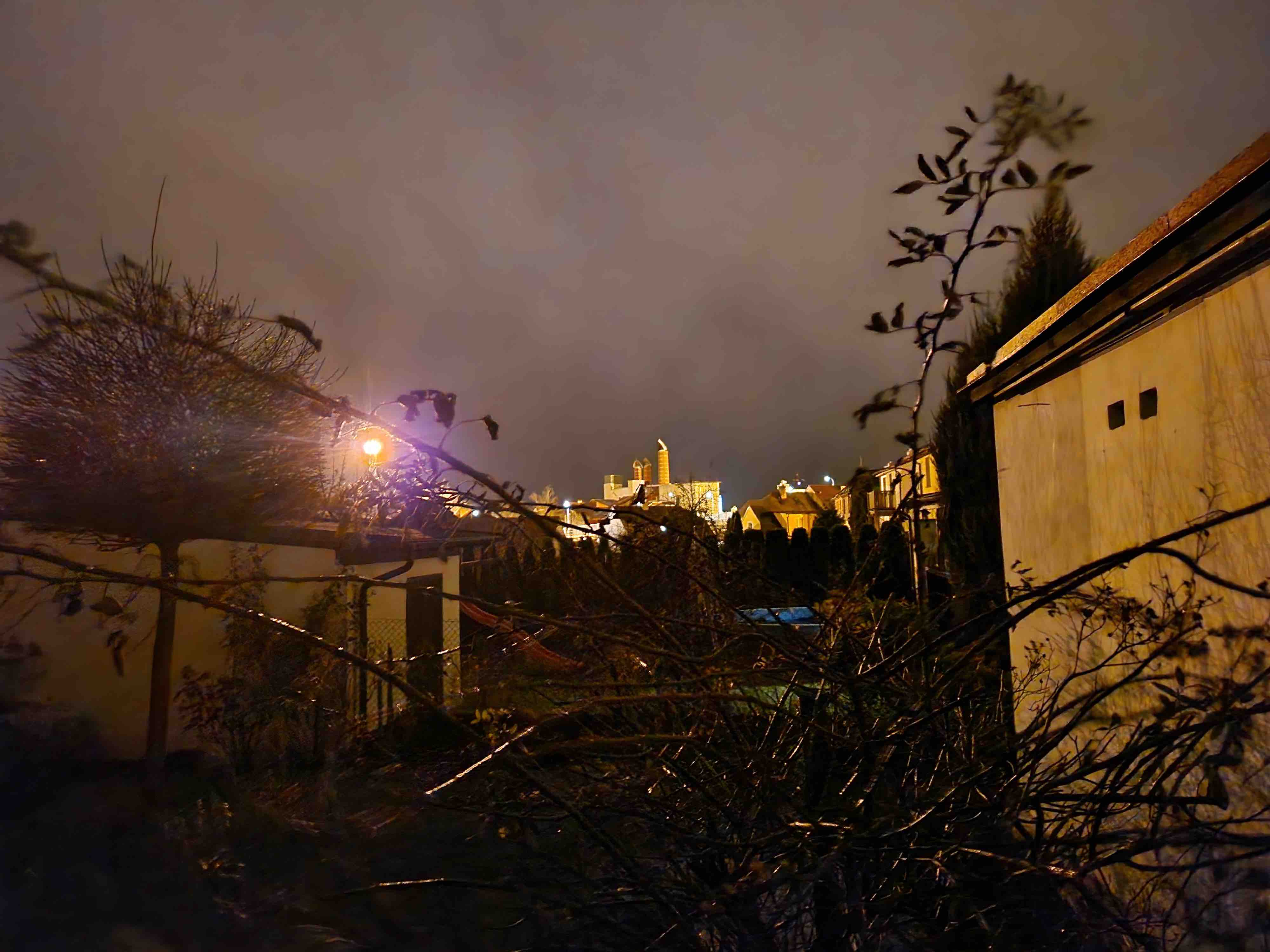 night view with lights and bushes