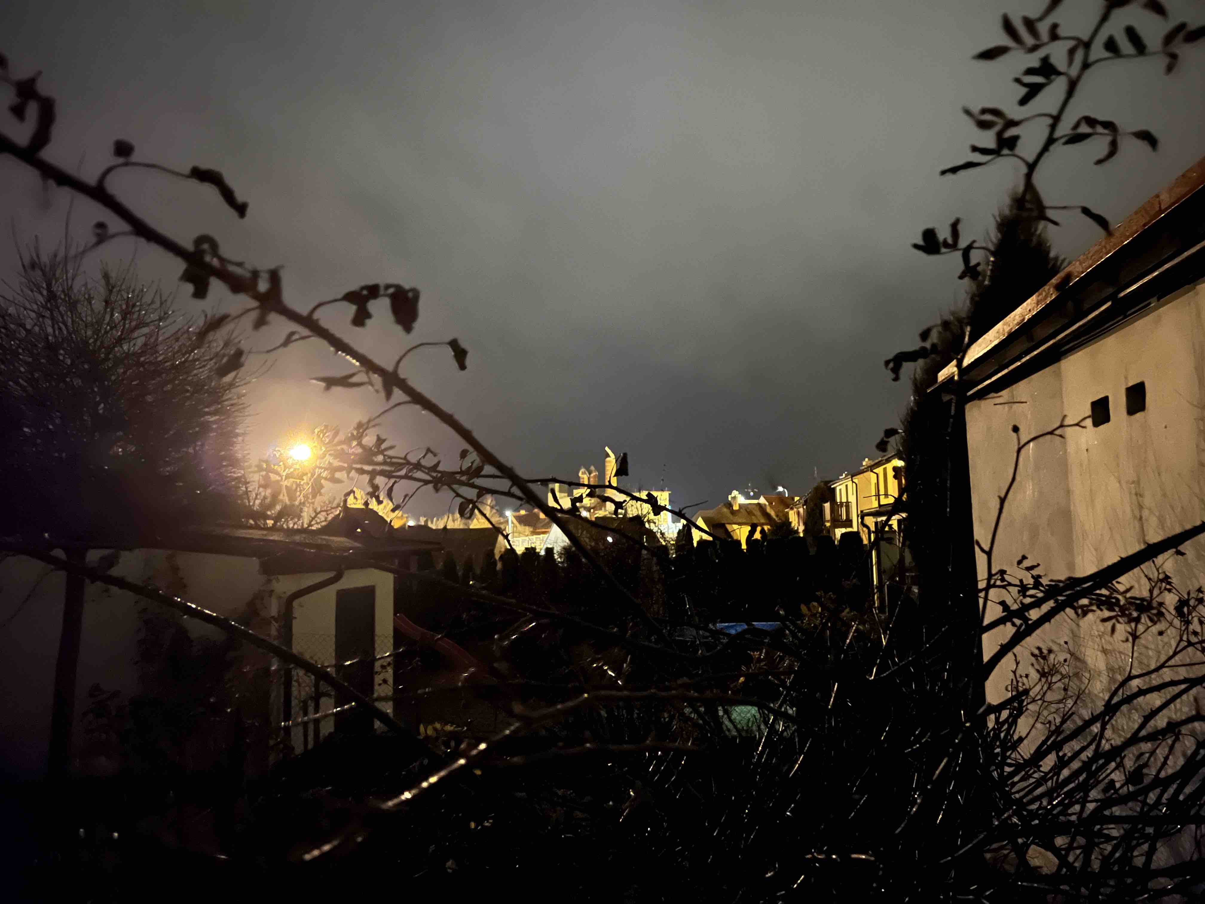 nighttime cityscape through branches