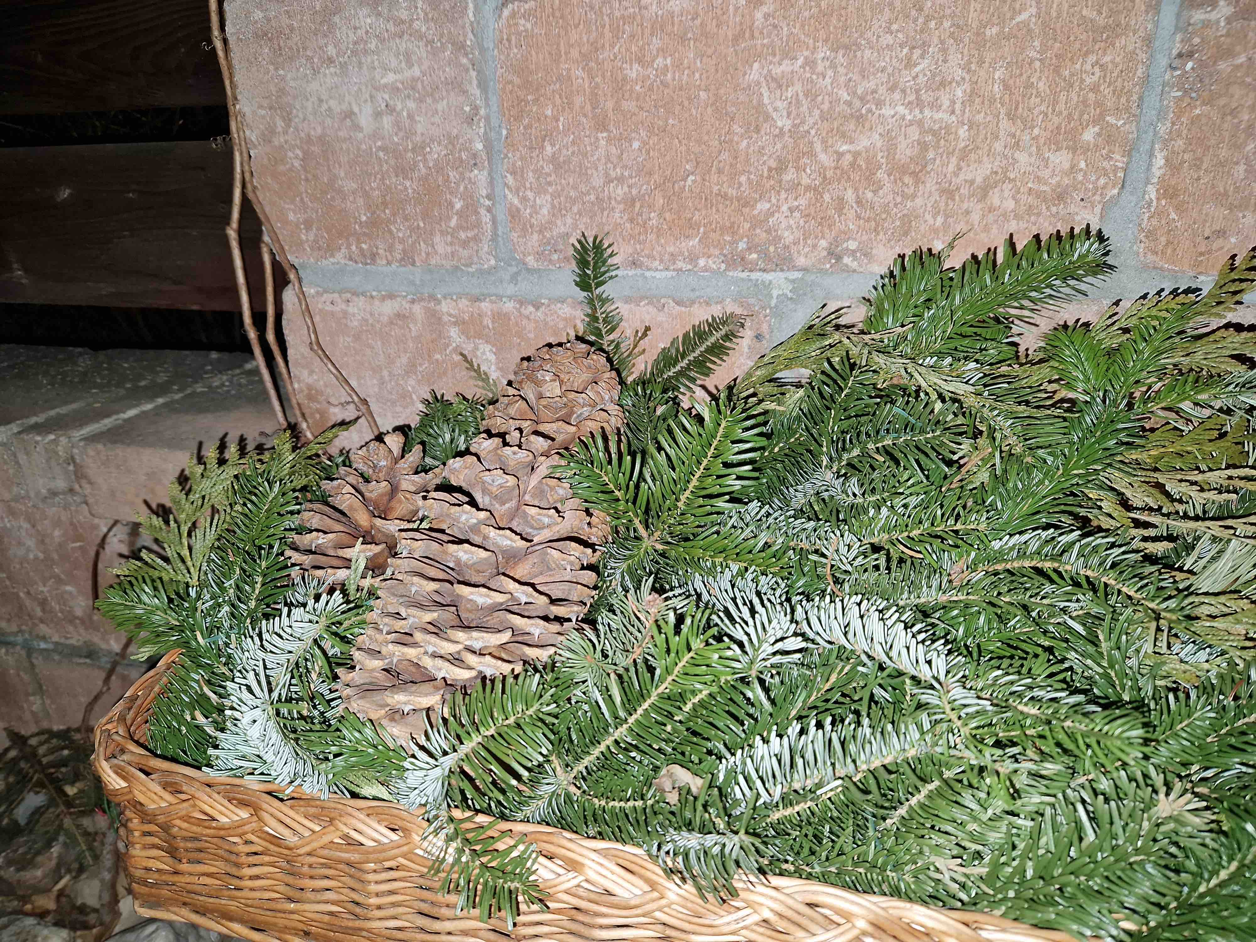 pine cones and branches in basket