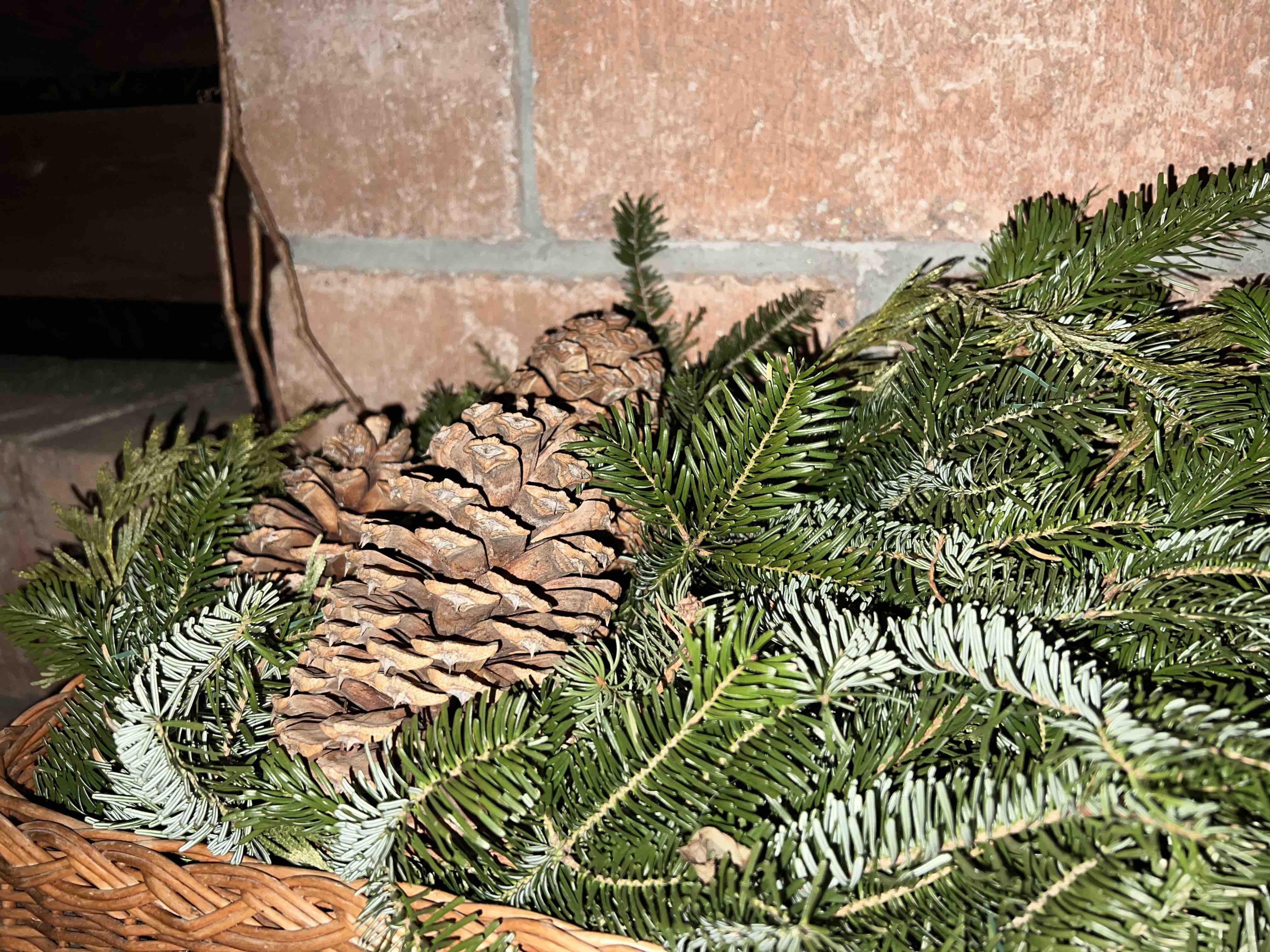 pinecones and evergreen branches