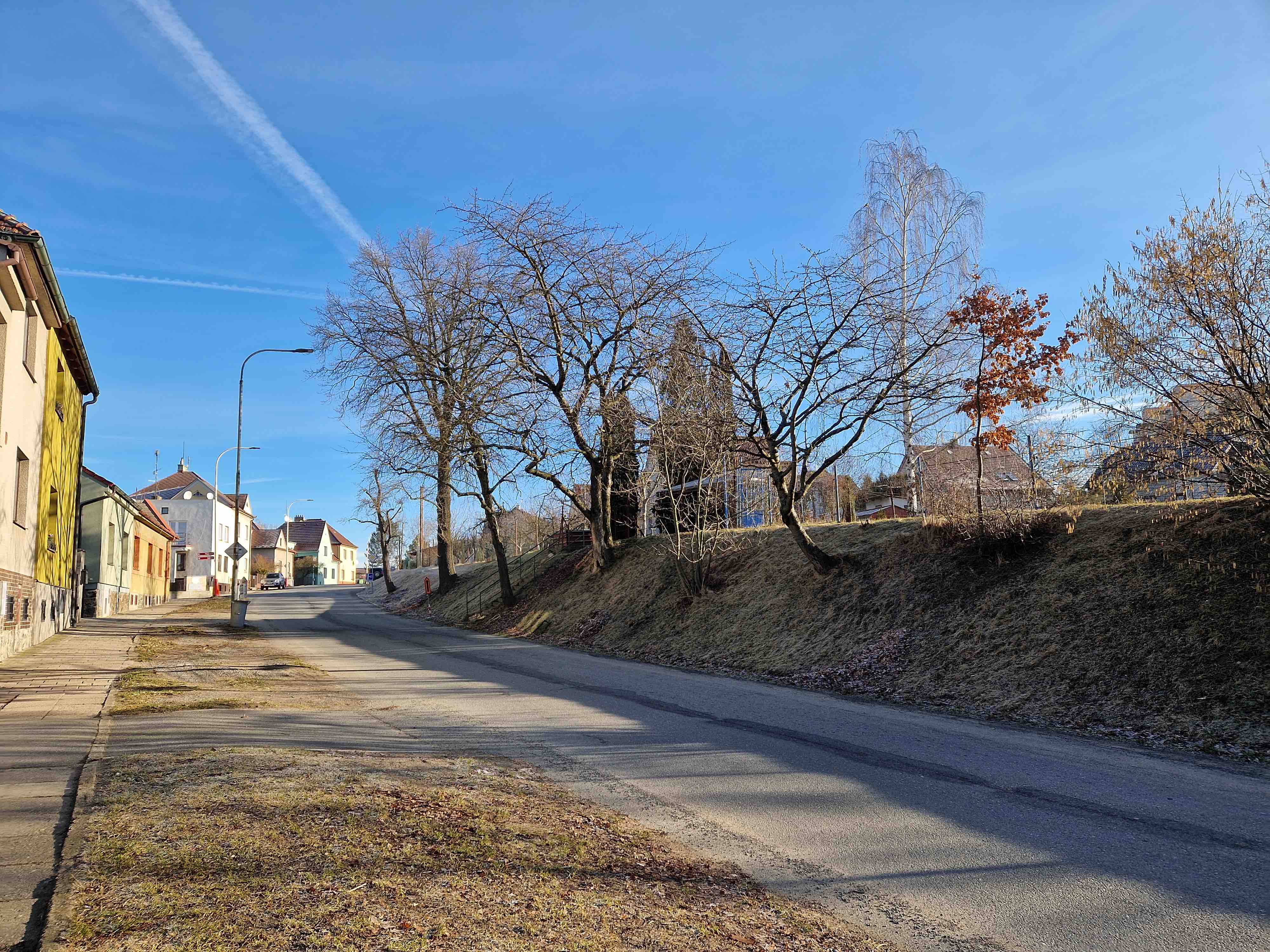 quiet street with trees