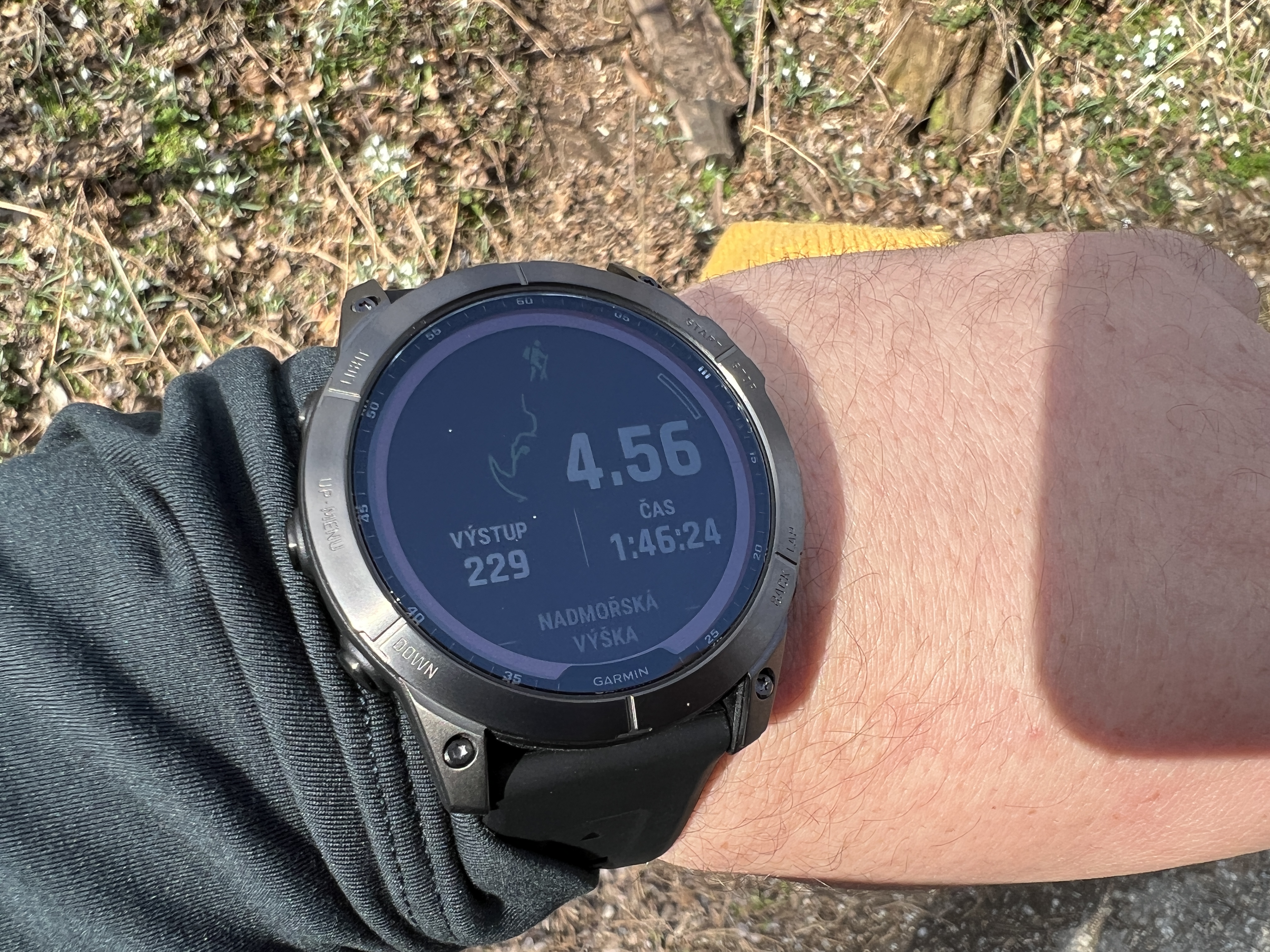 smartwatch elevation data