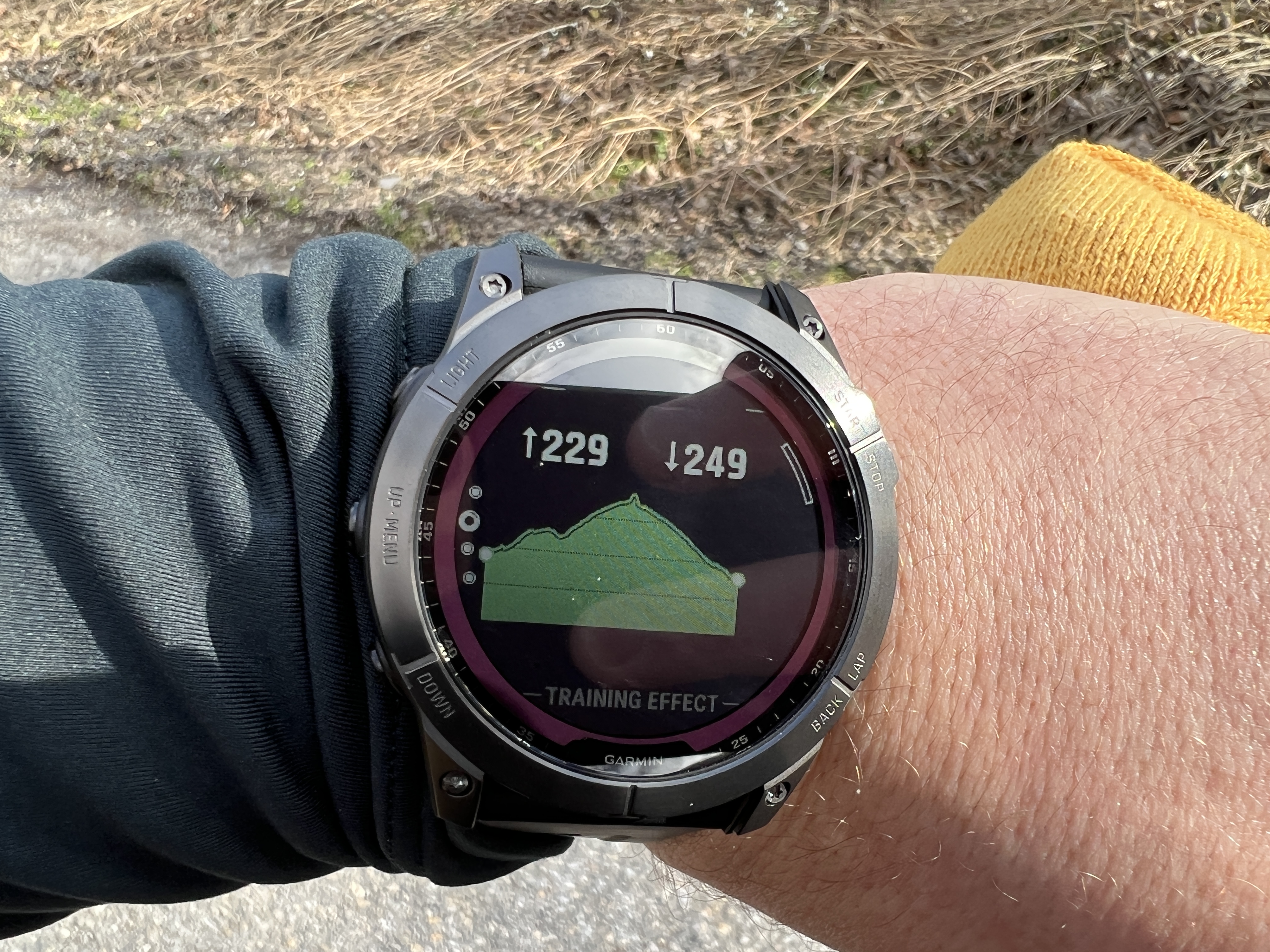 smartwatch training effect