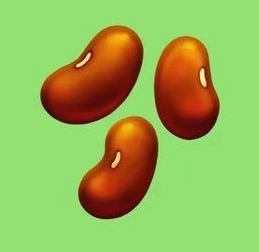 three brown beans