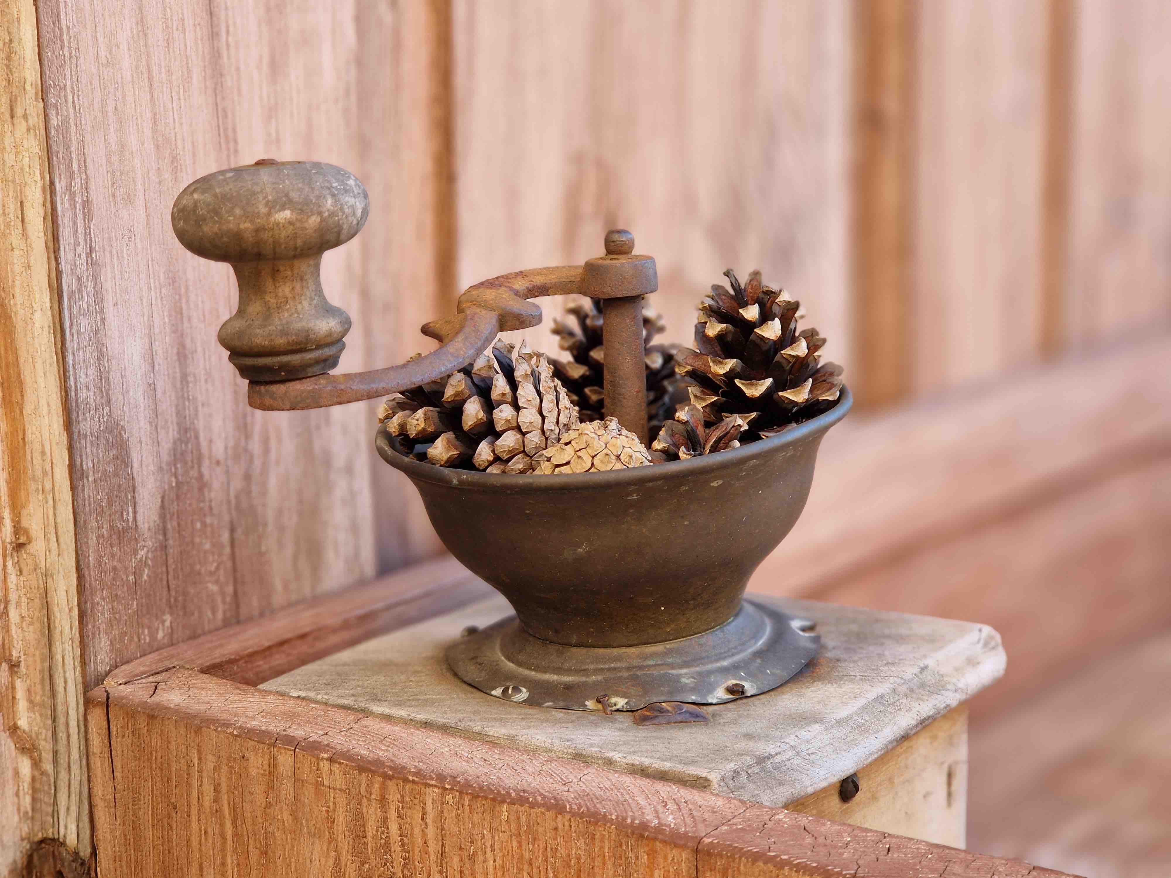vintage coffee grinder with pinecones