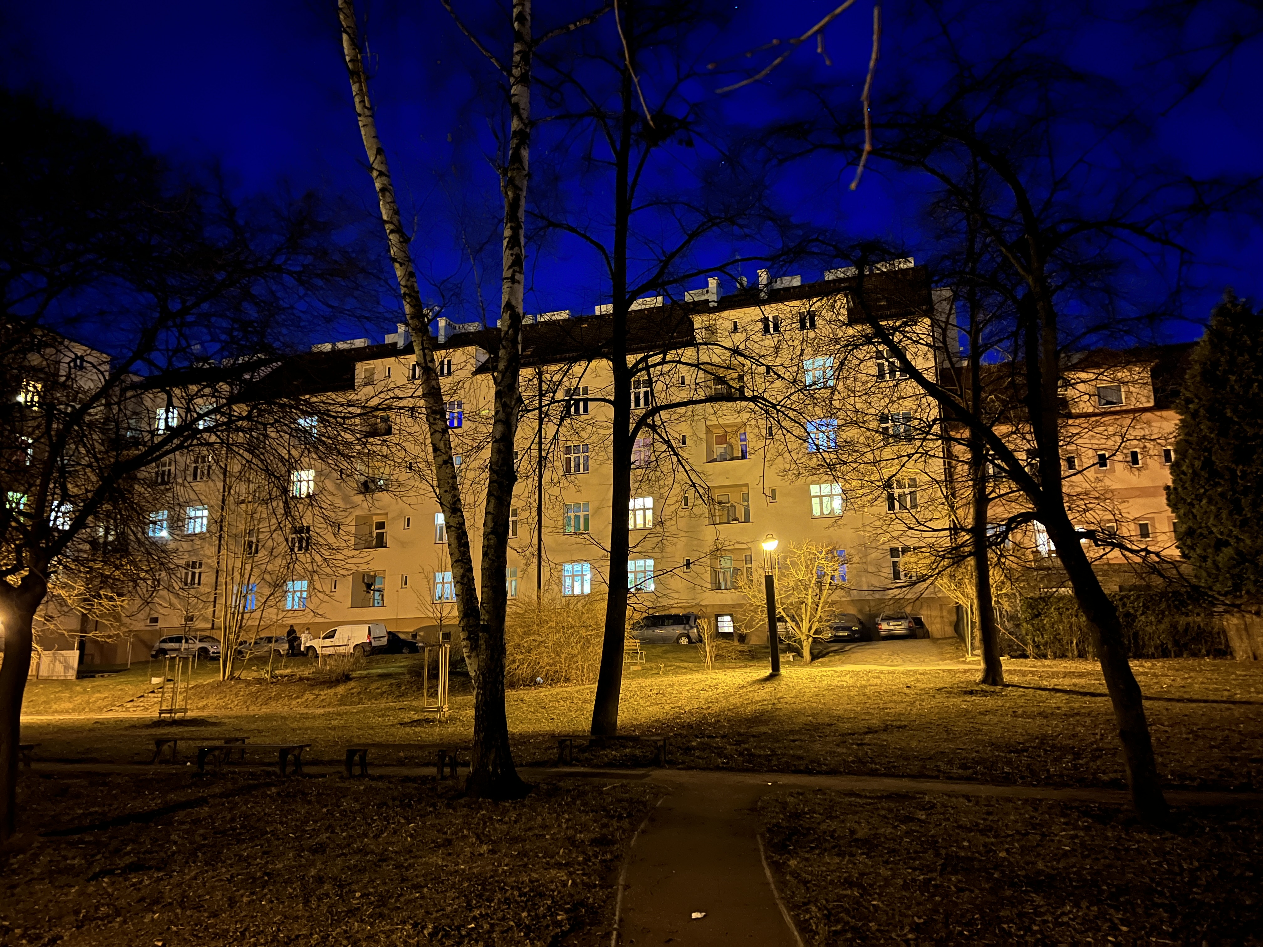 apartment building night trees