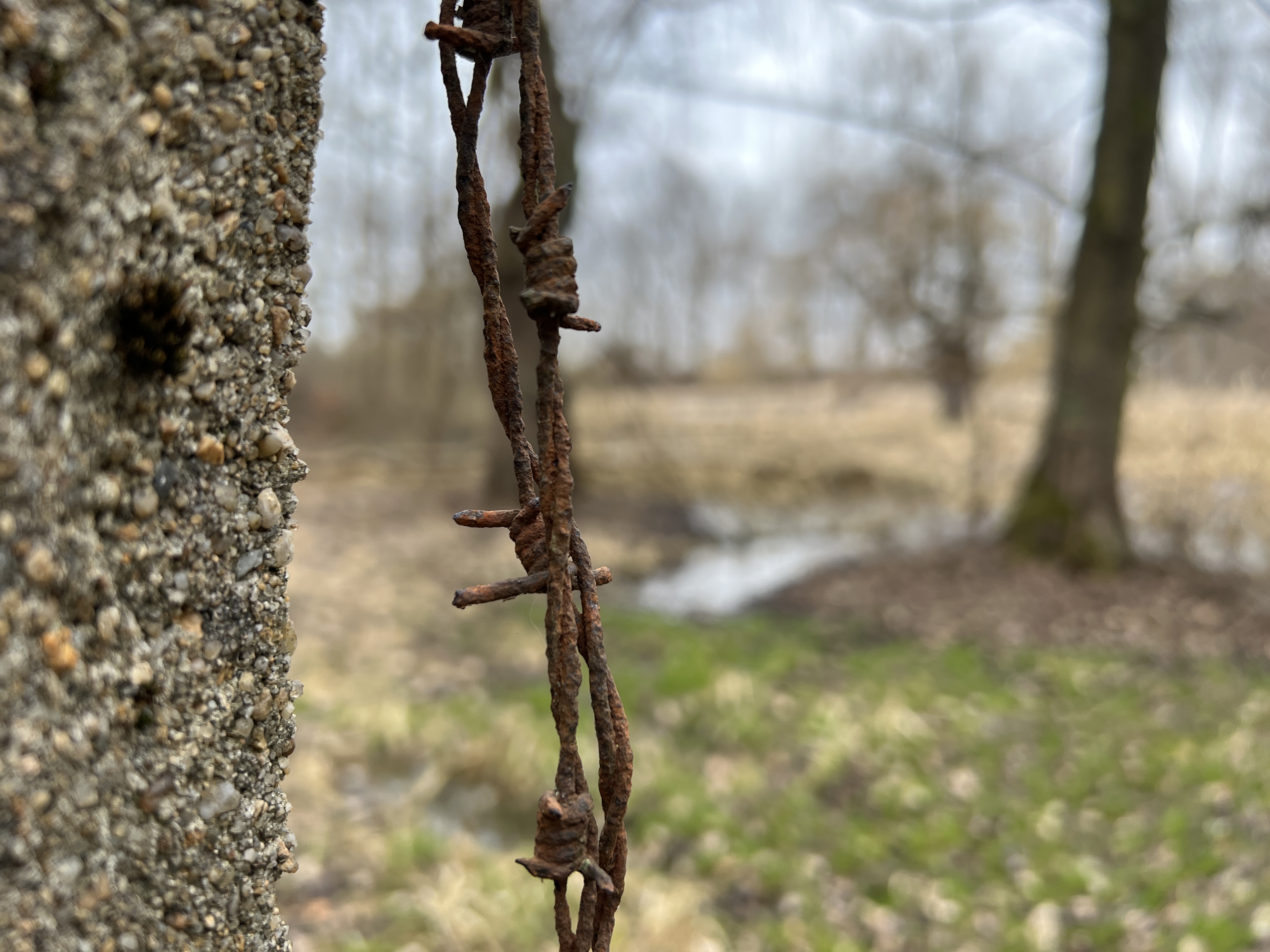 barbed wire on concrete wall