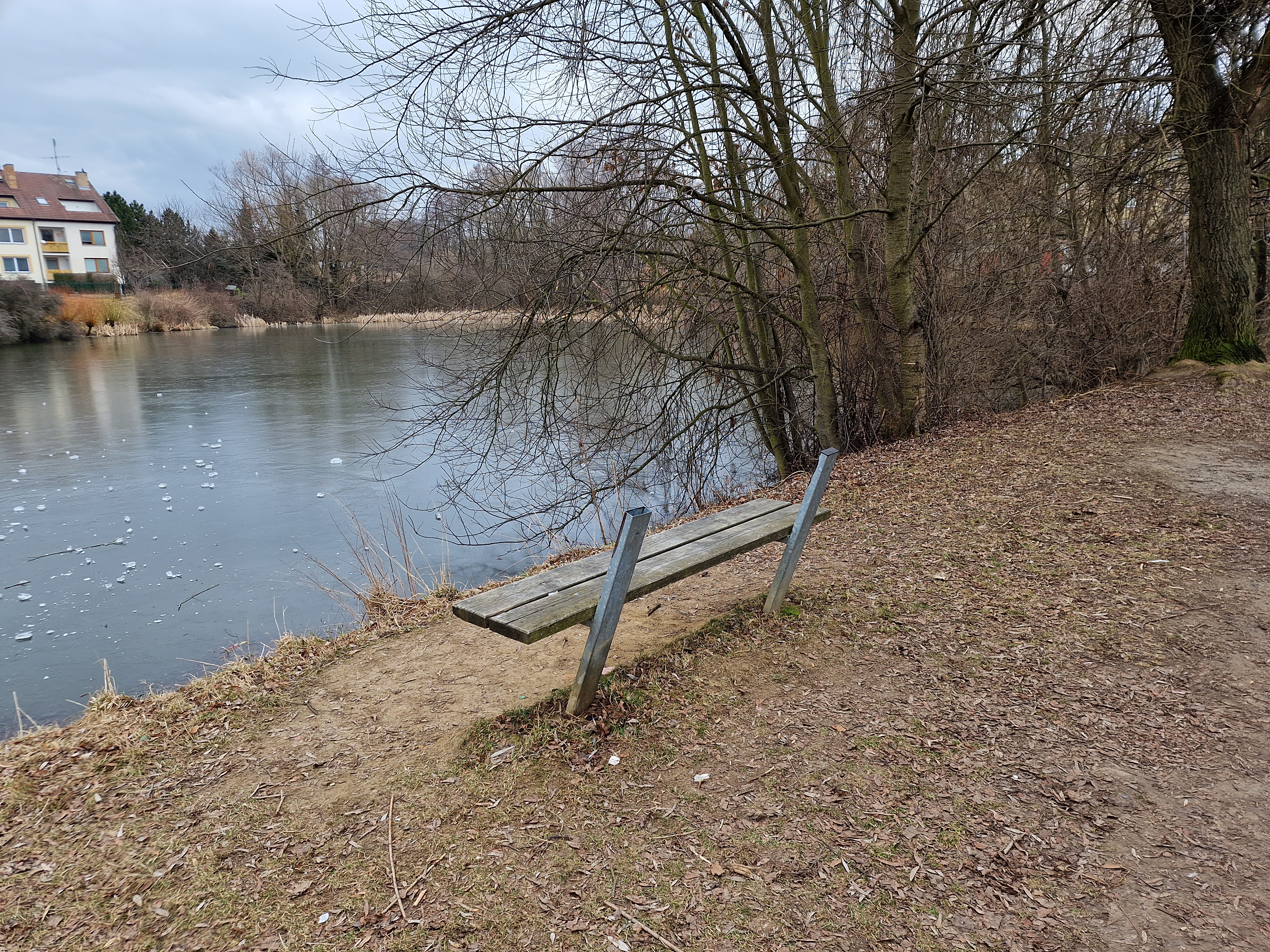 bench by frozen lake