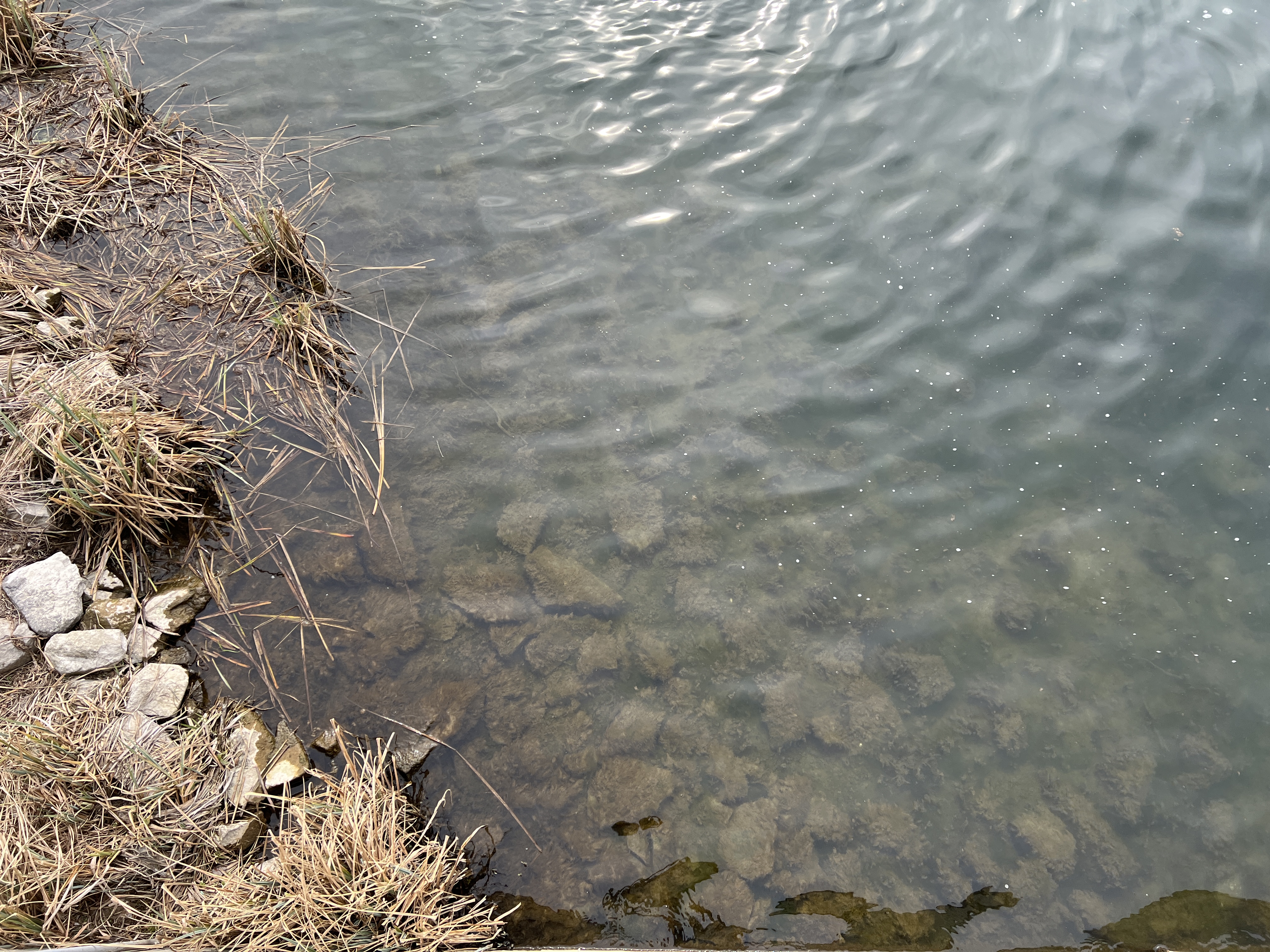clear water riverbank