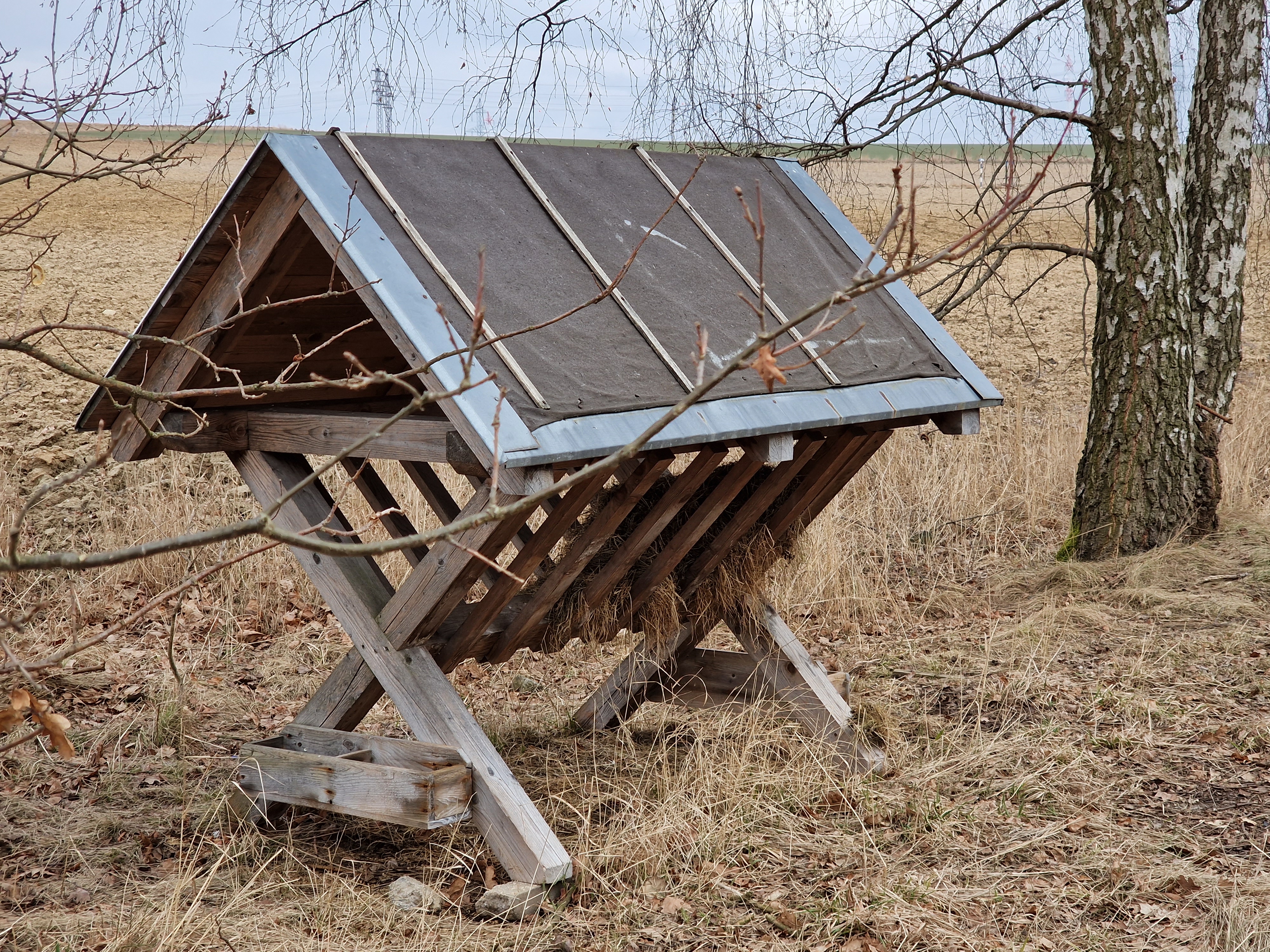 closeup wooden feeder branches