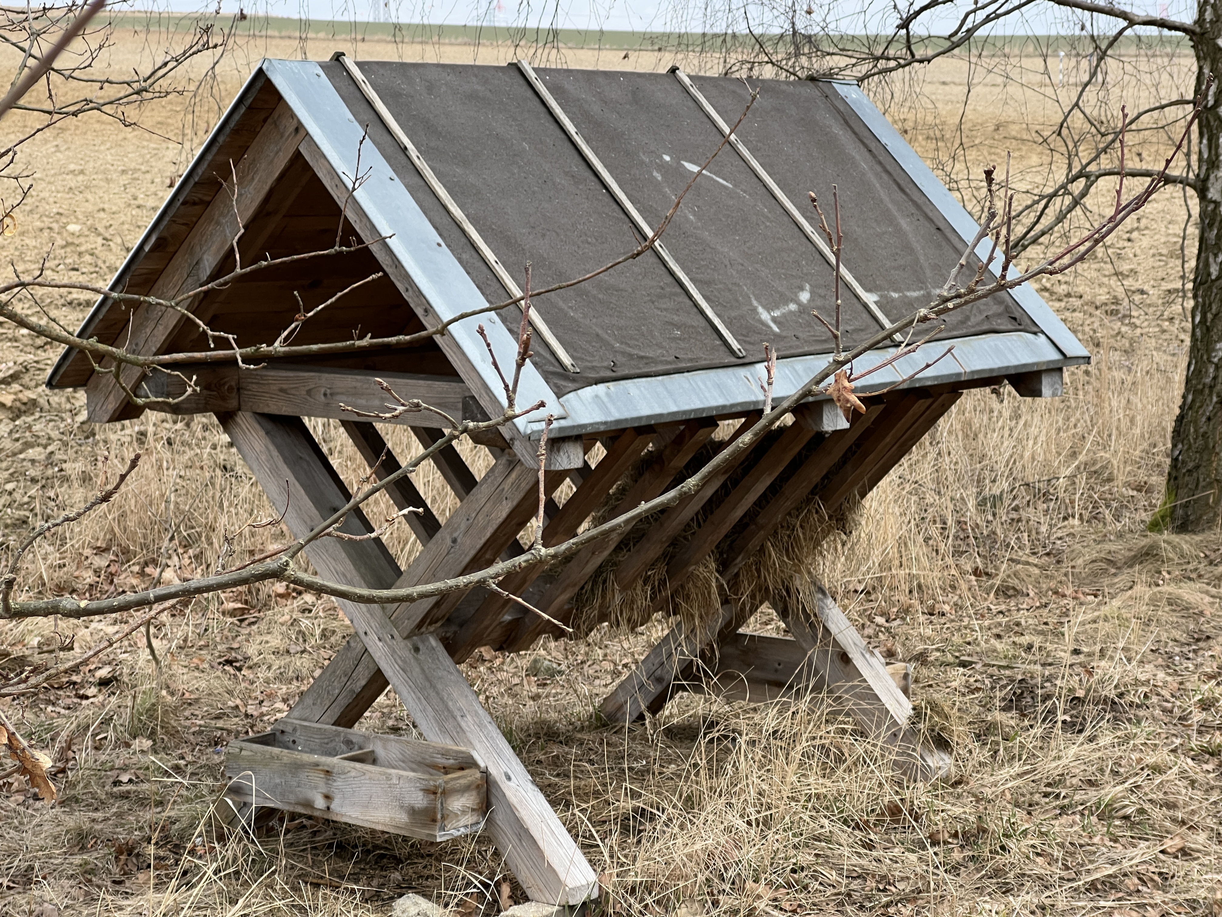 closeup wooden structure