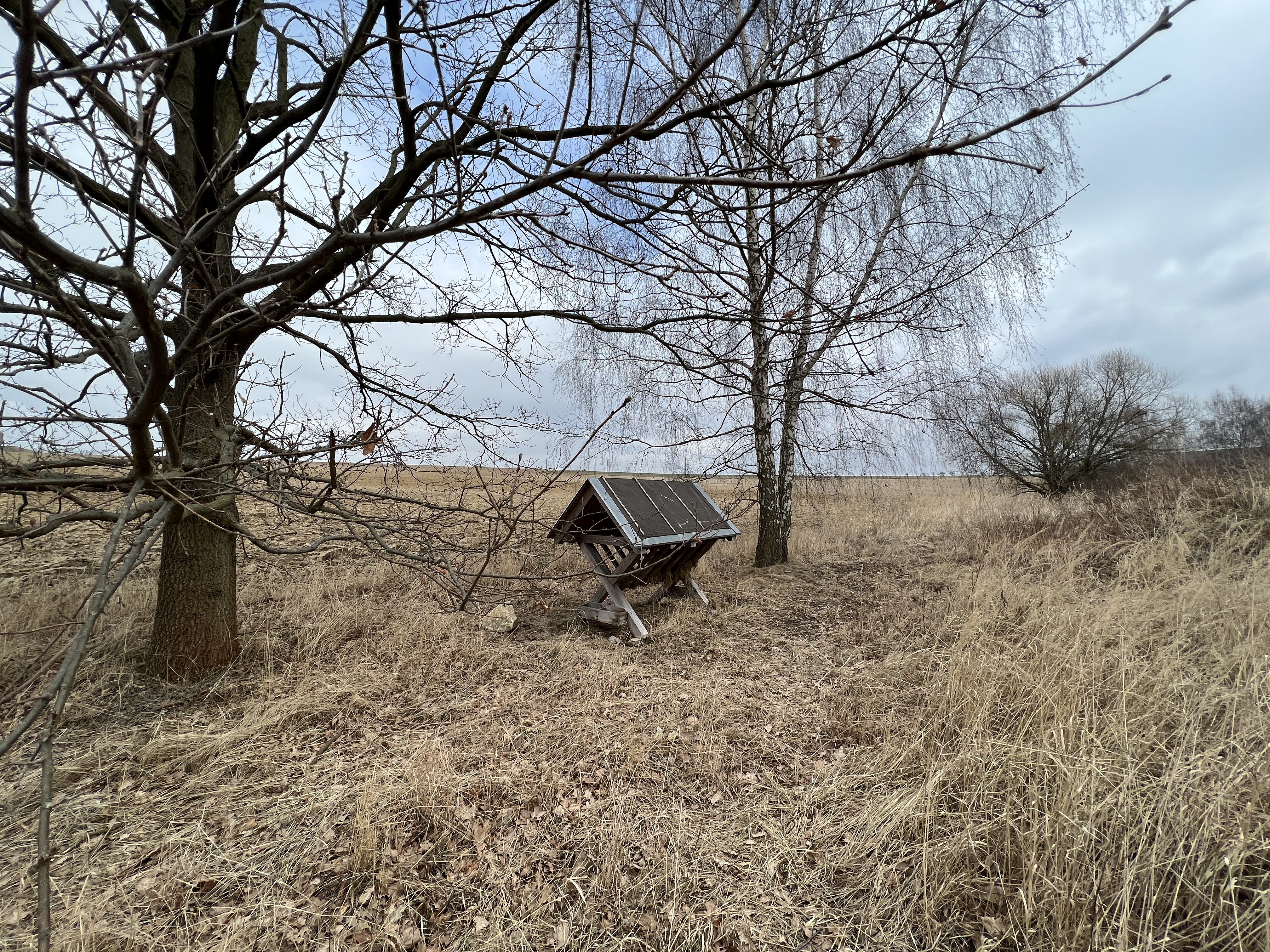 field solar panel trees