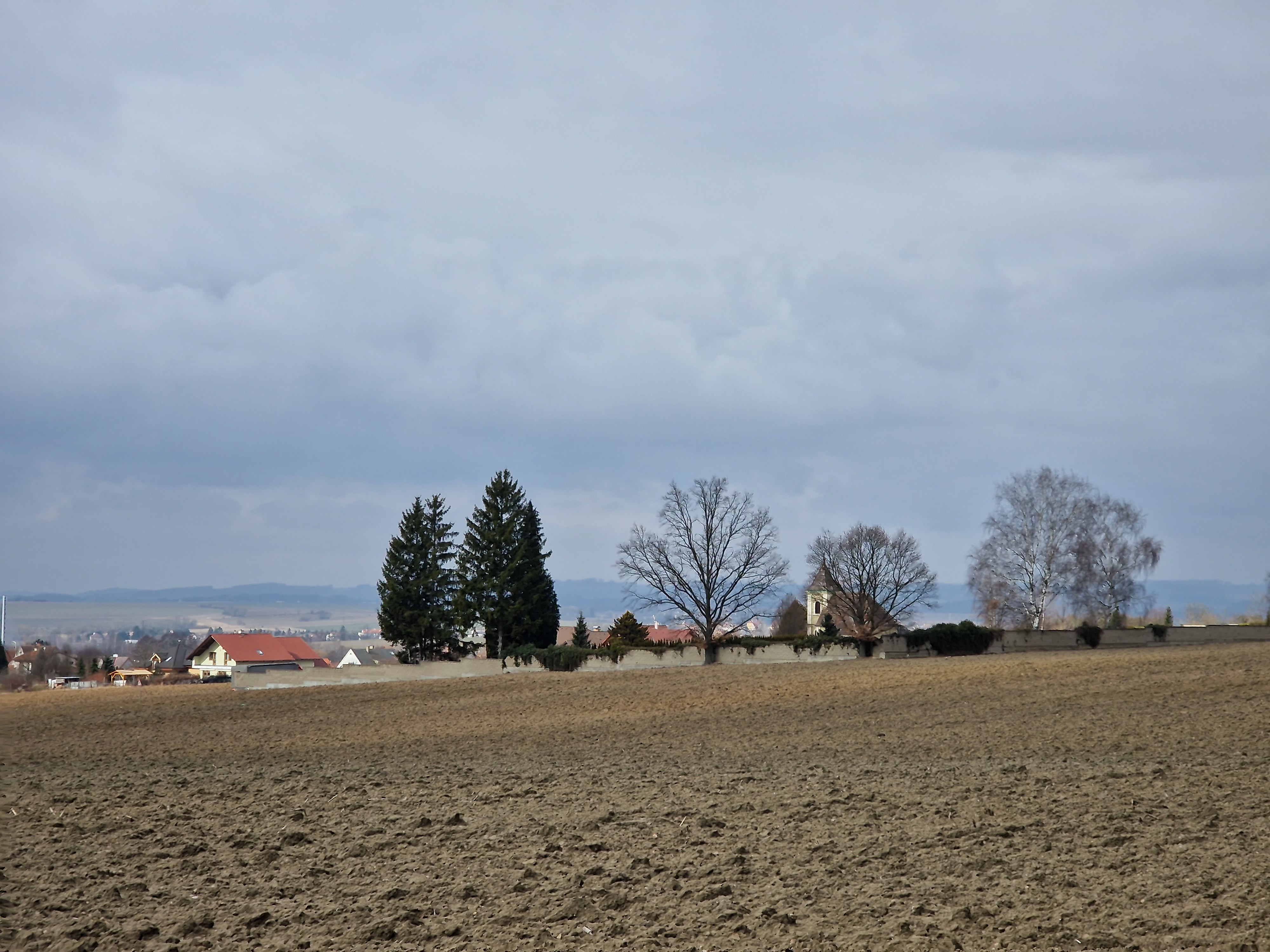 field with trees and distant buildings