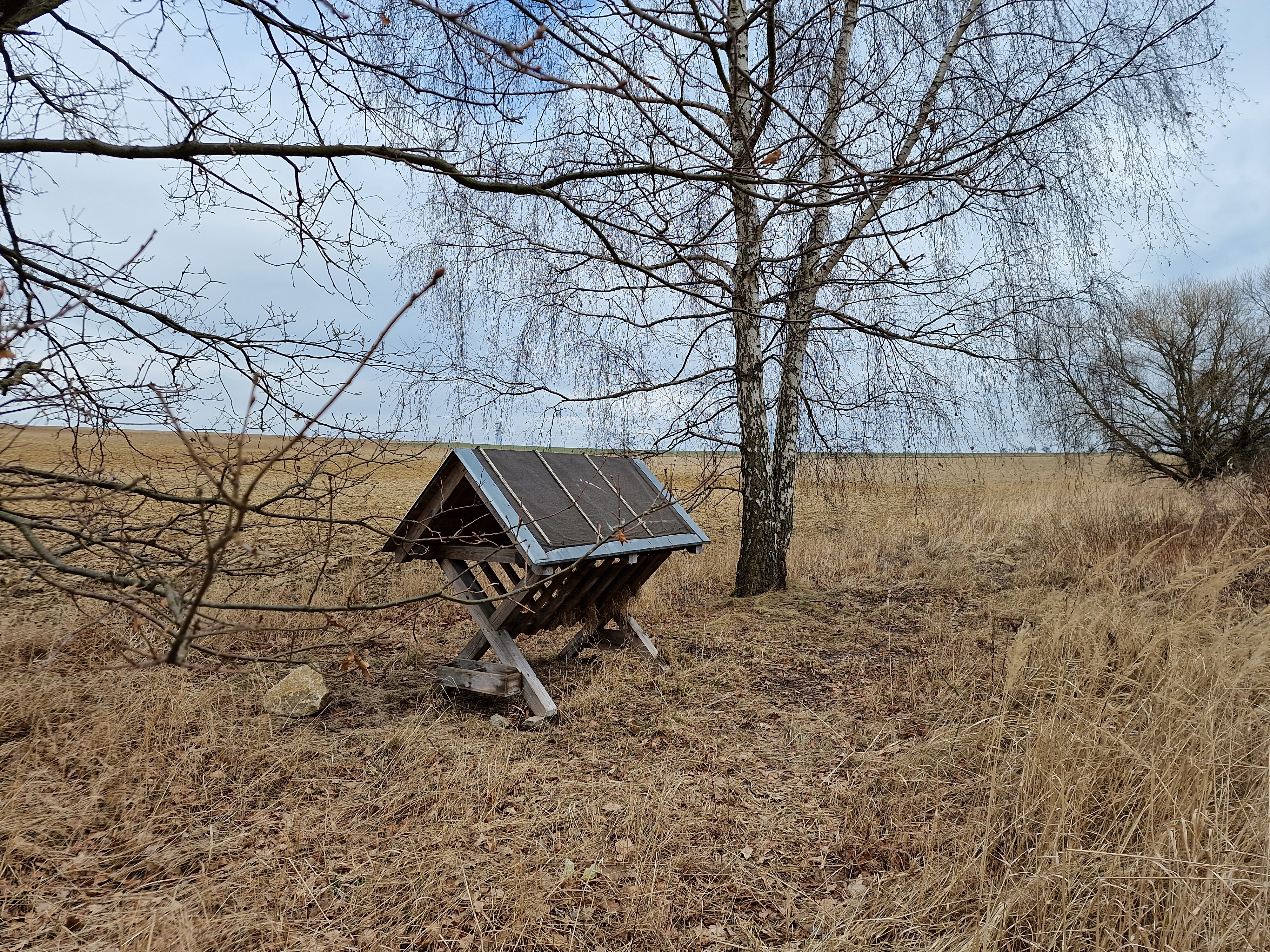 field wooden feeder trees