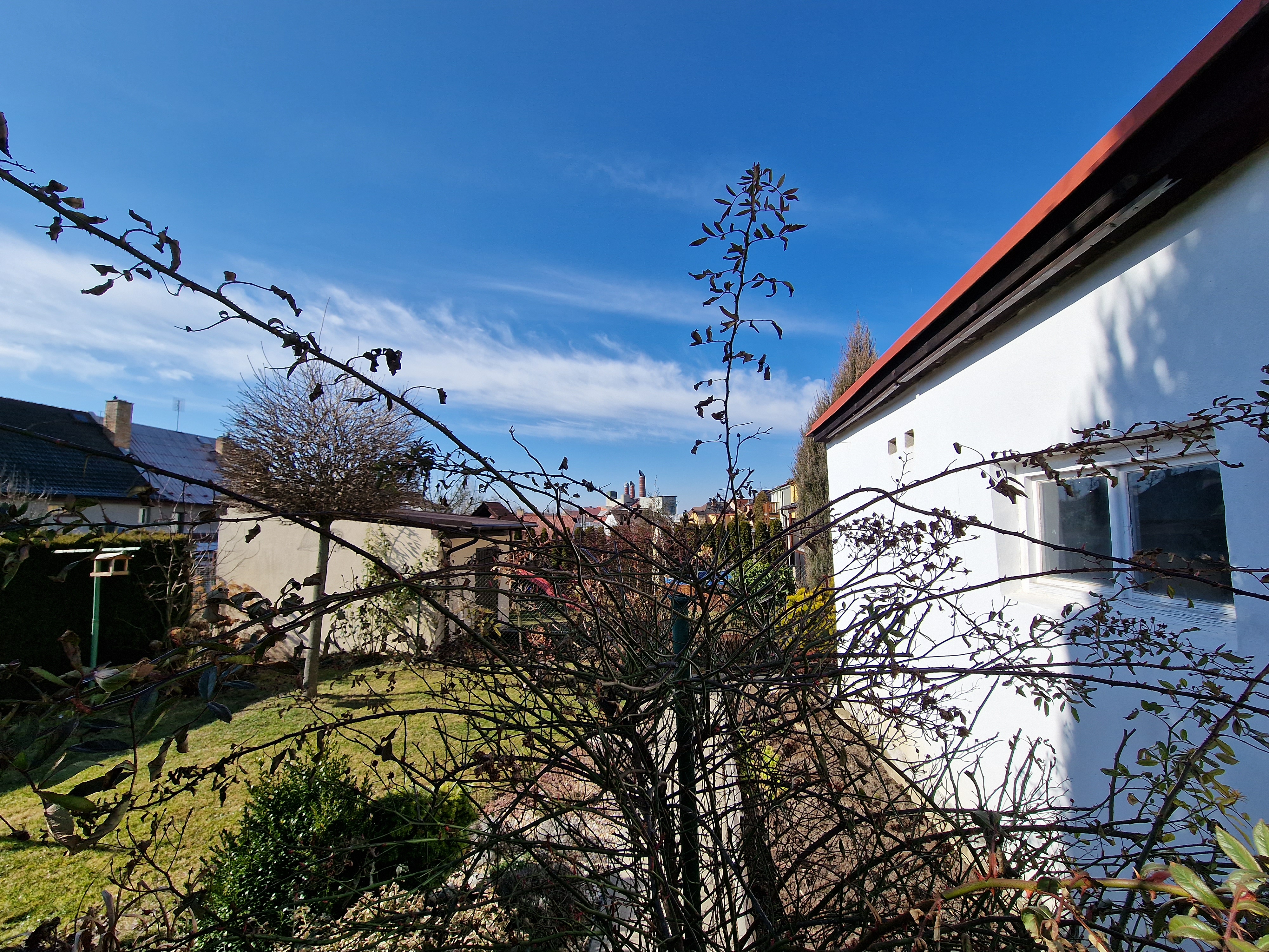 garden bushes blue sky