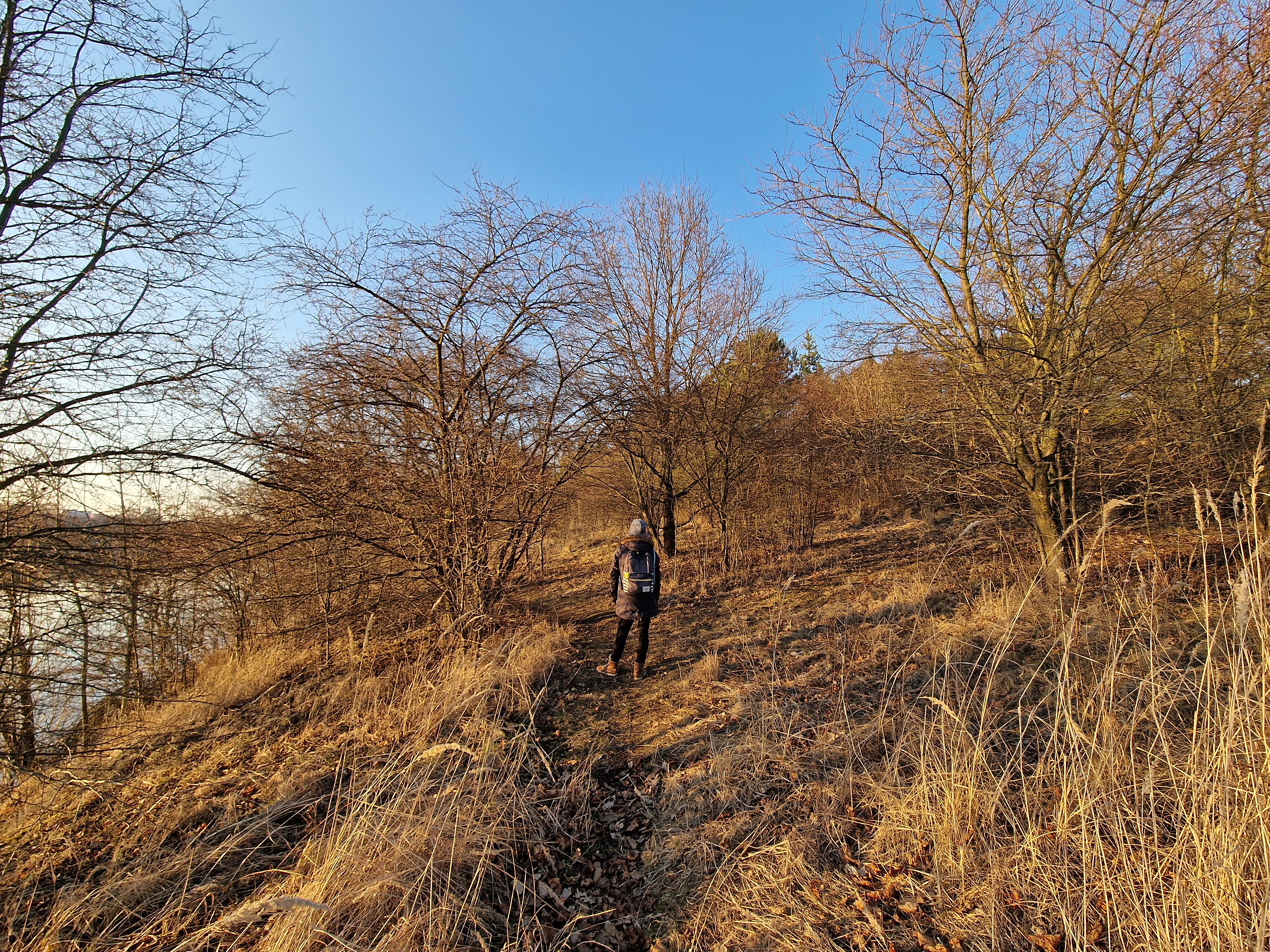 hiker on wooded path