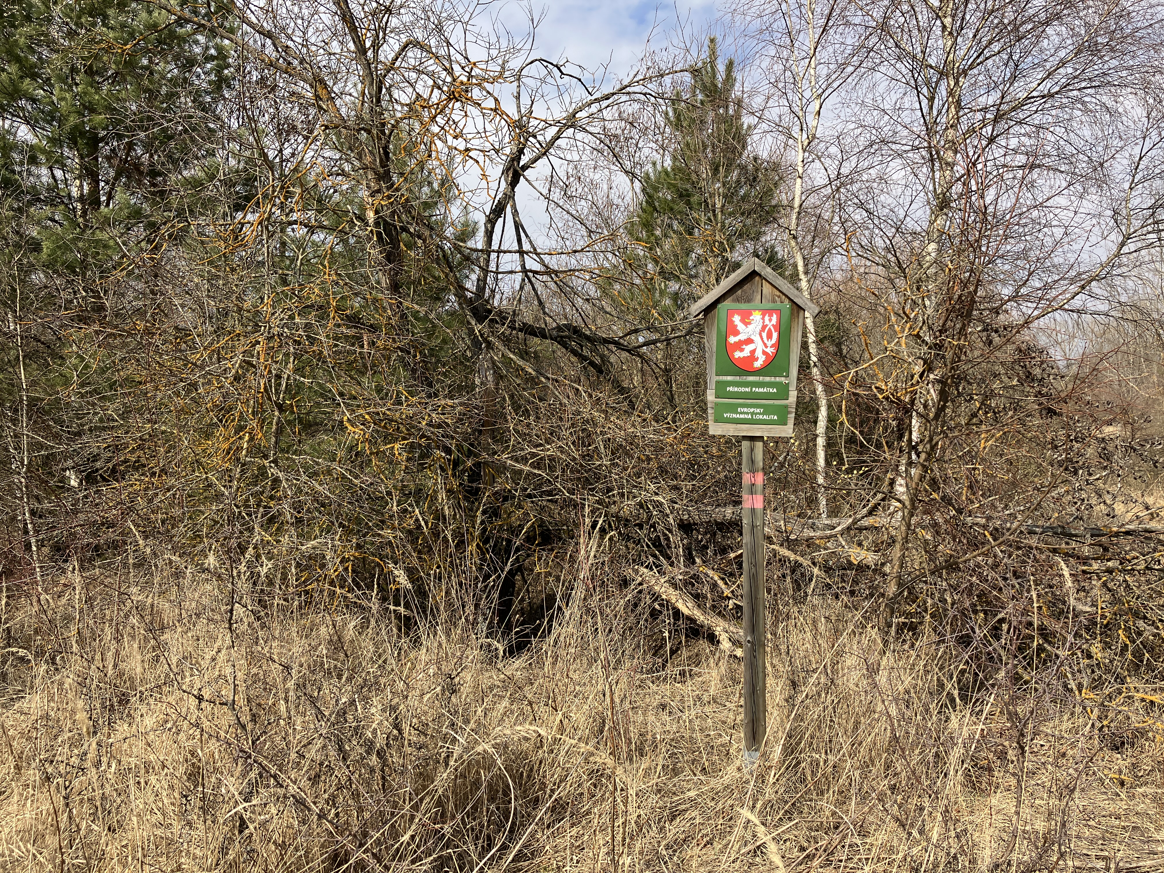 nature sign in forest