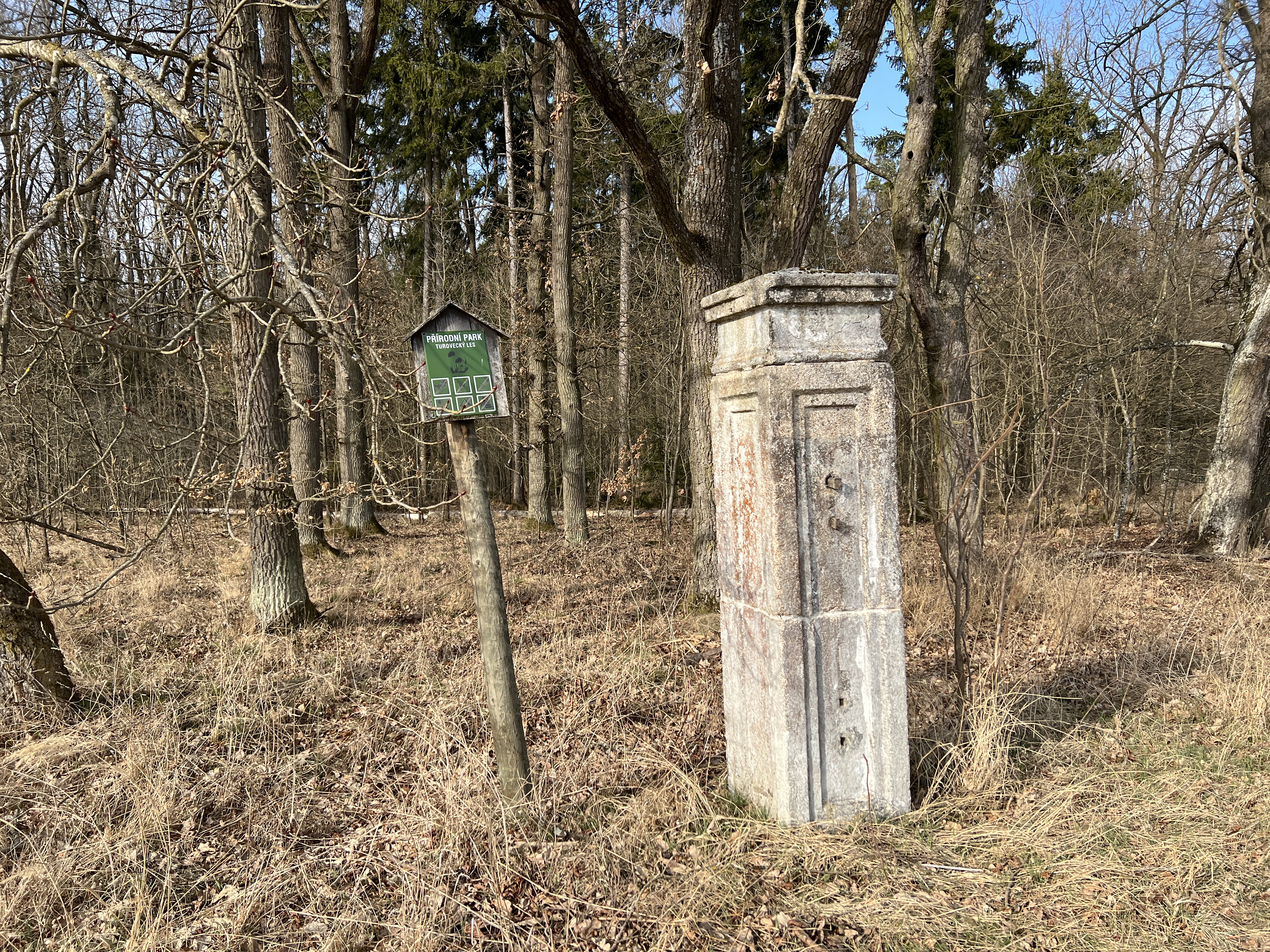 old stone pillar in forest