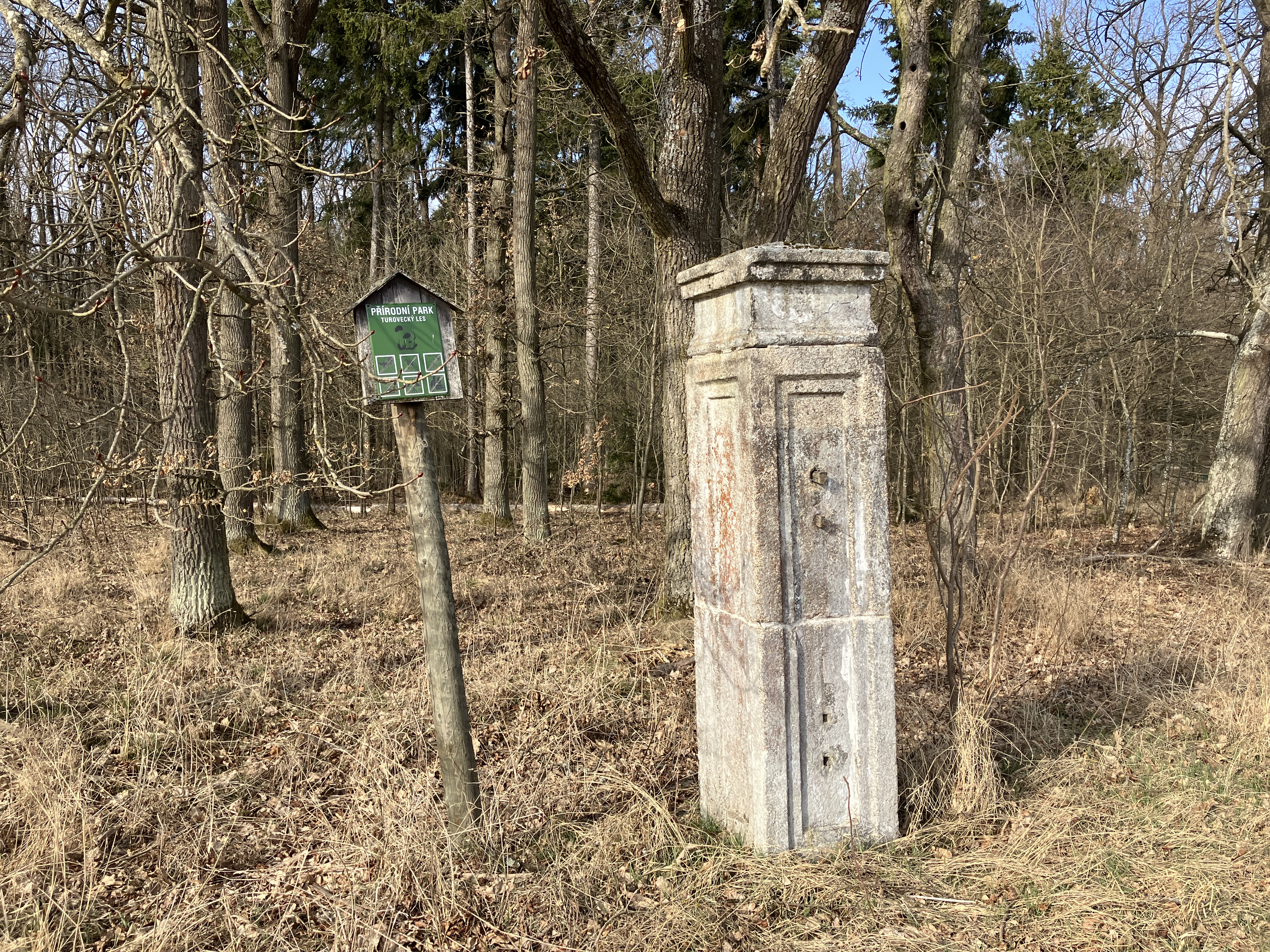 old stone pillar in woods