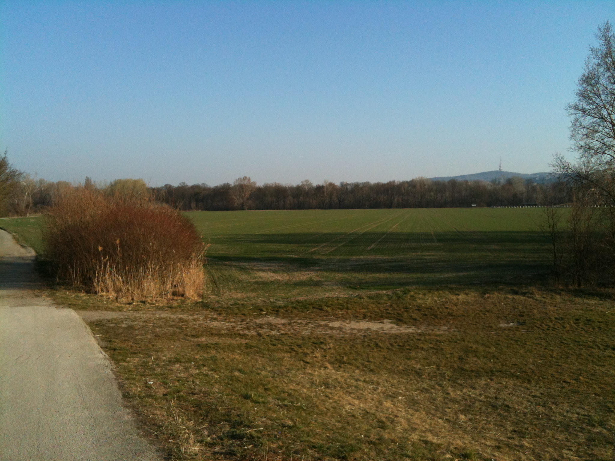 open field with path