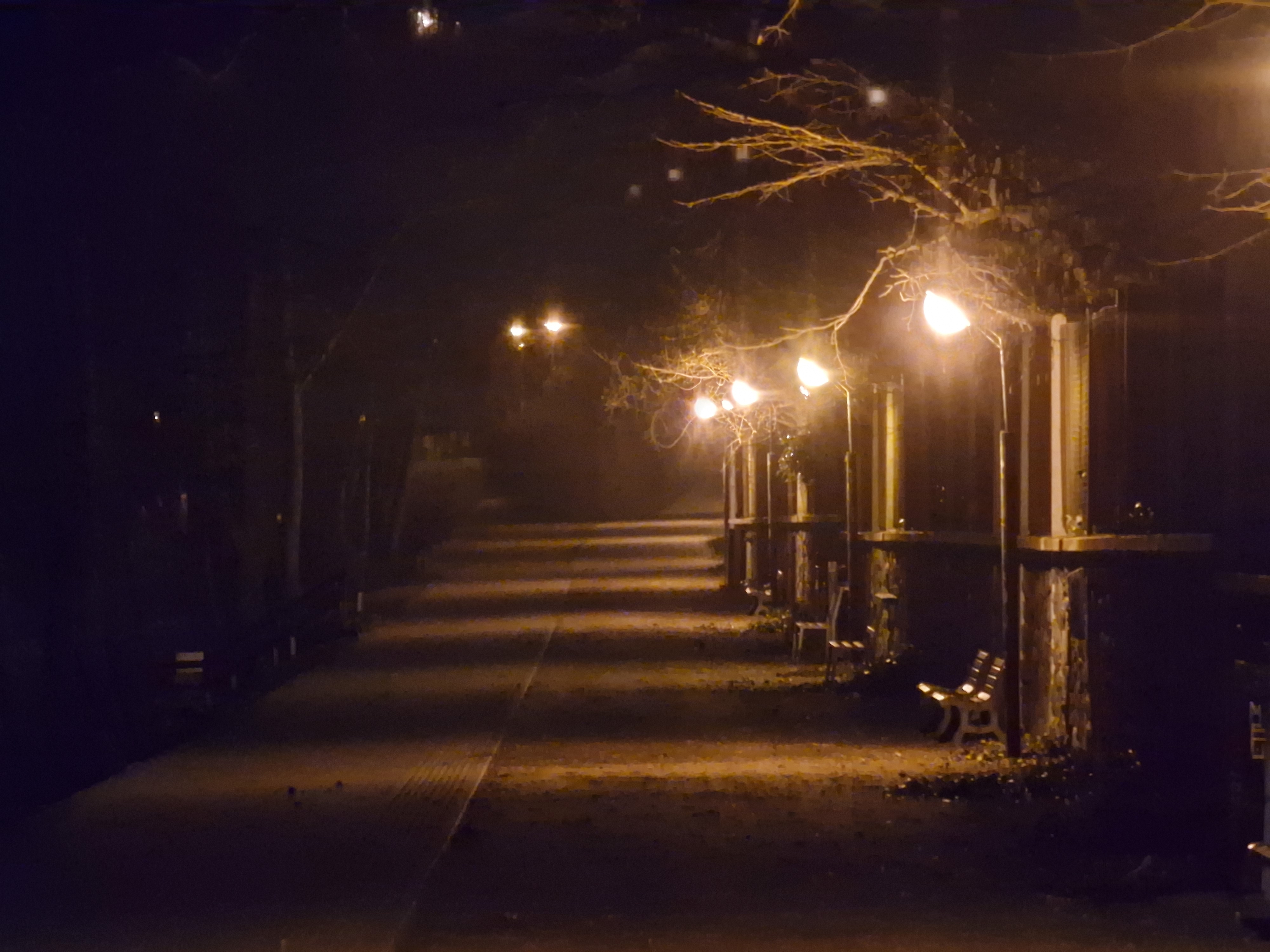 pathway lights closeup