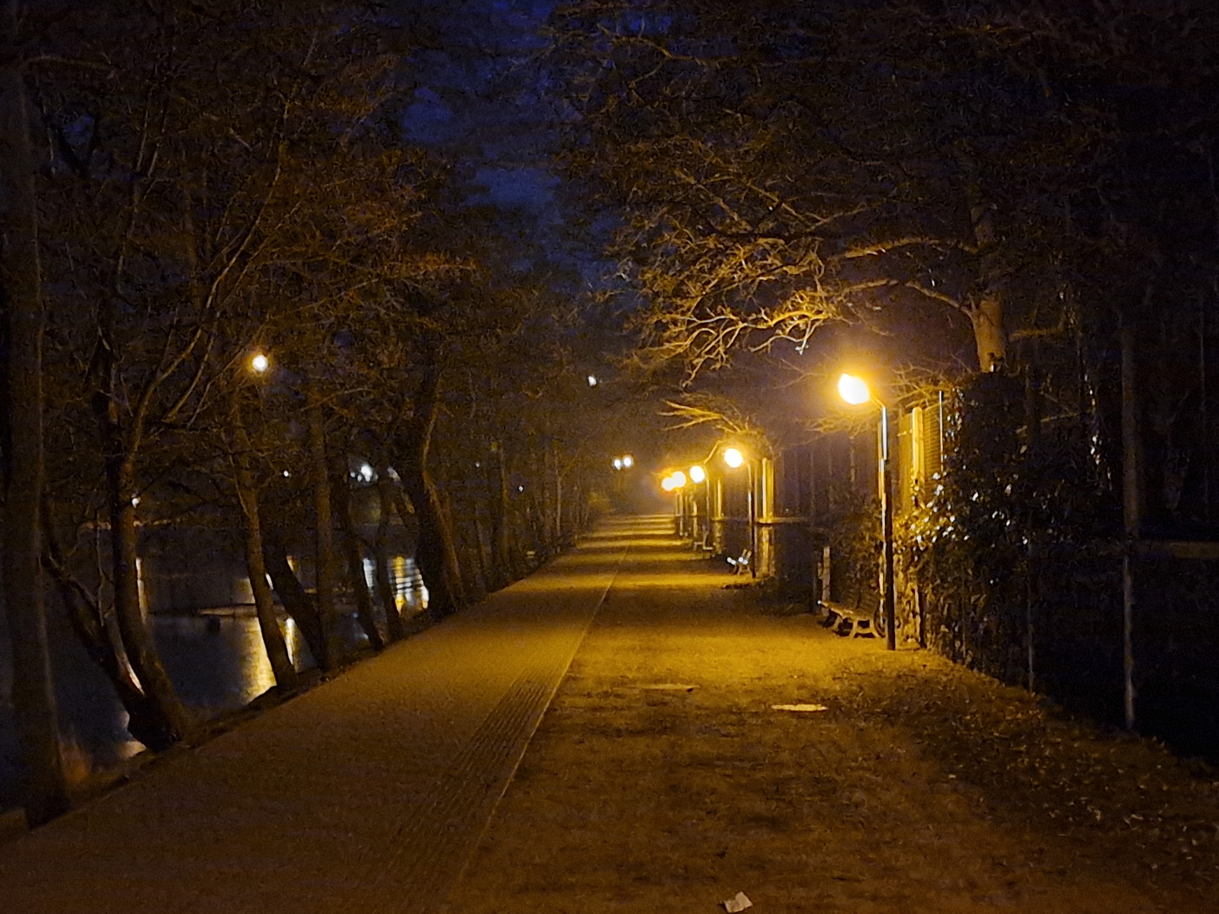 pathway lights night