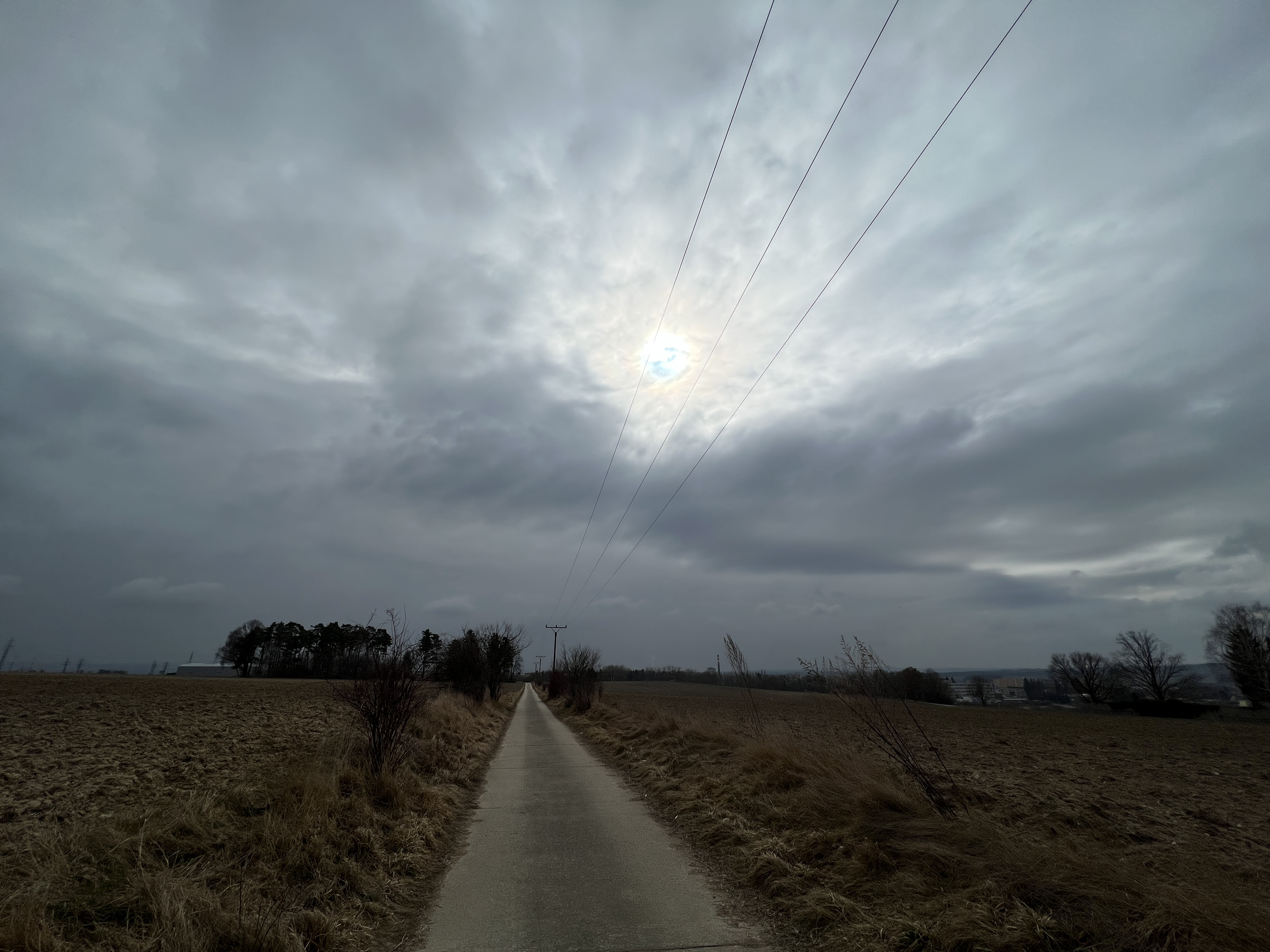 pathway under cloudy sky