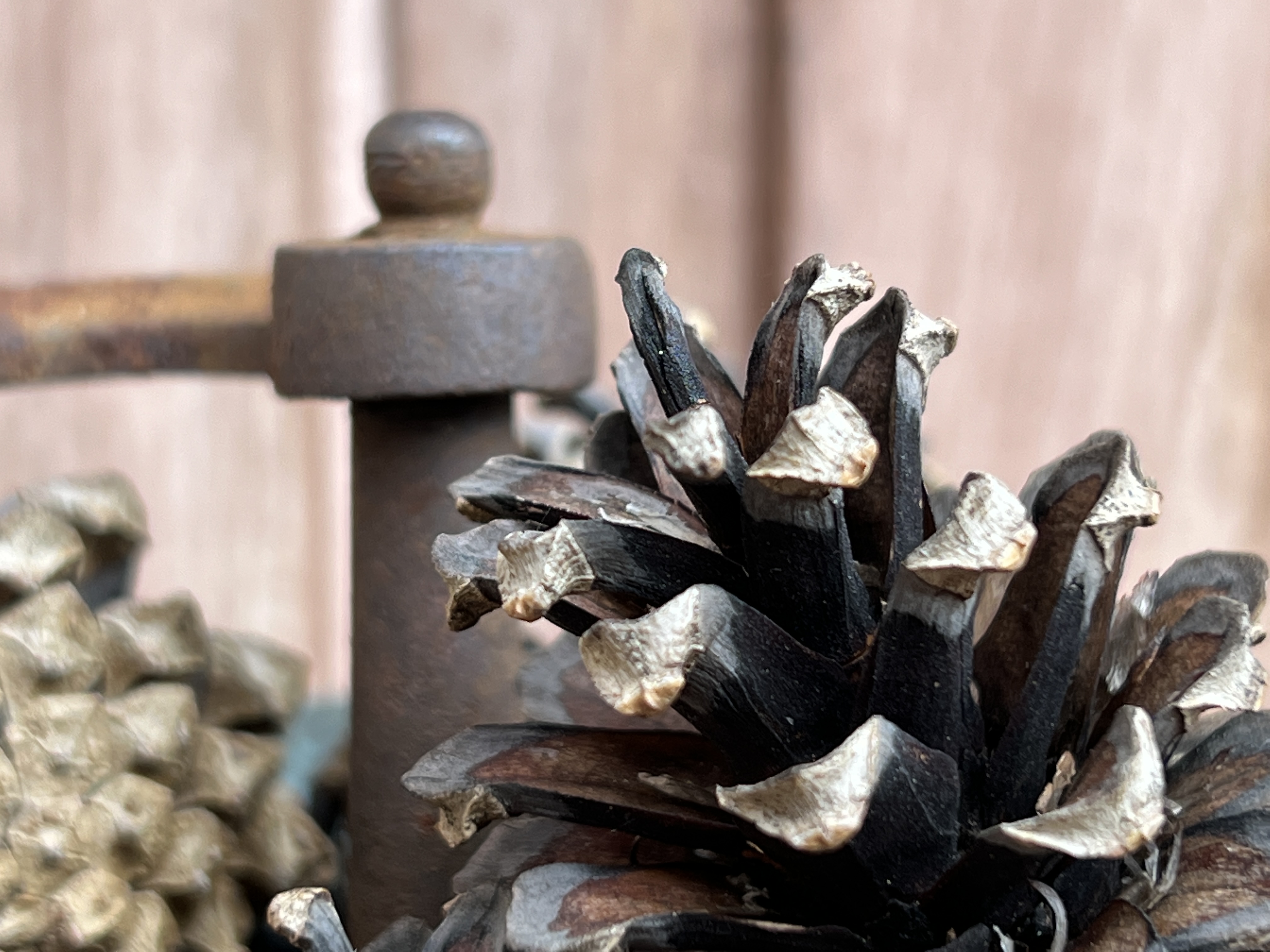 pinecone and rustic metal